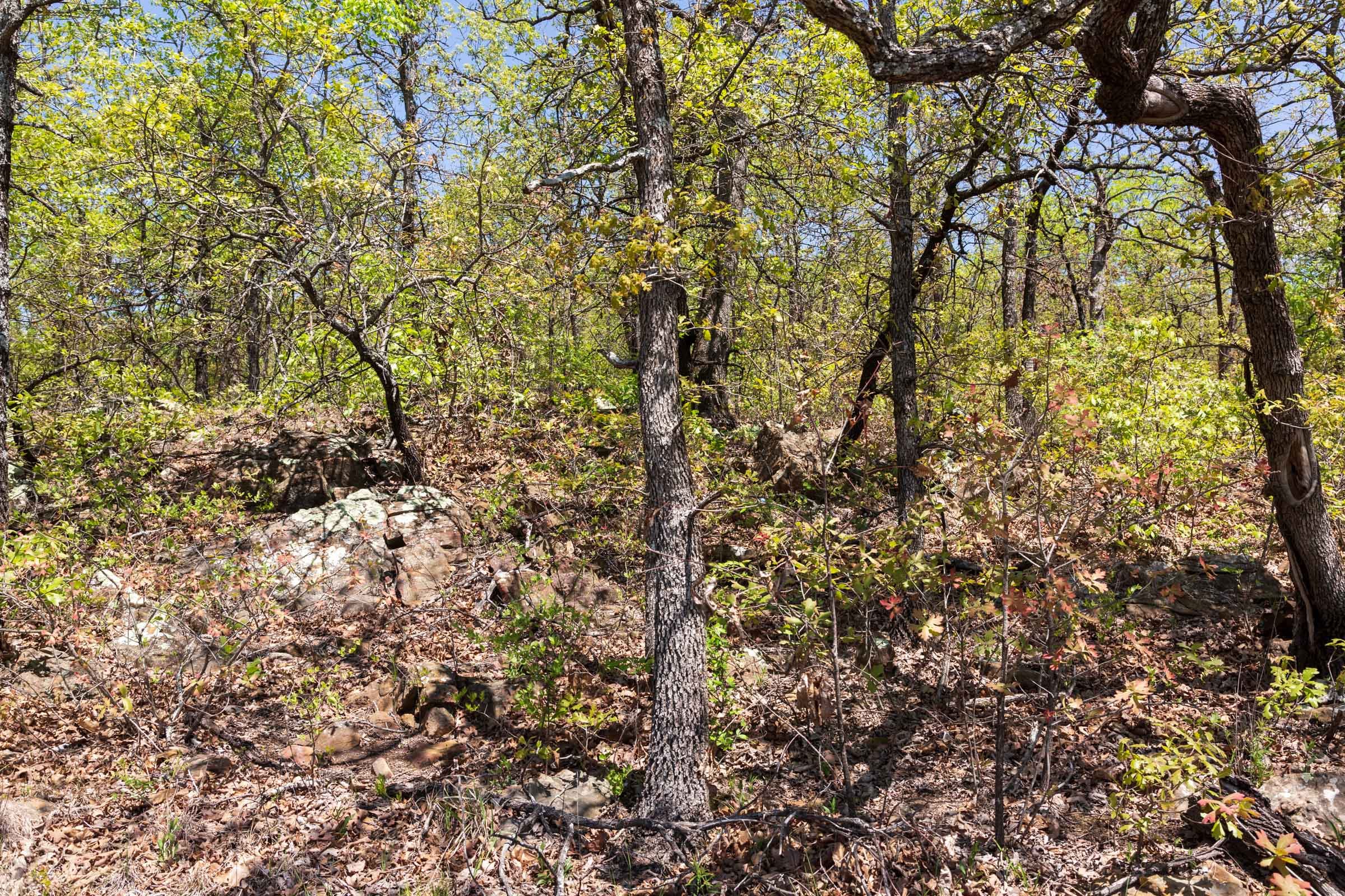 Allie’s Acres Tract 3 photo 25