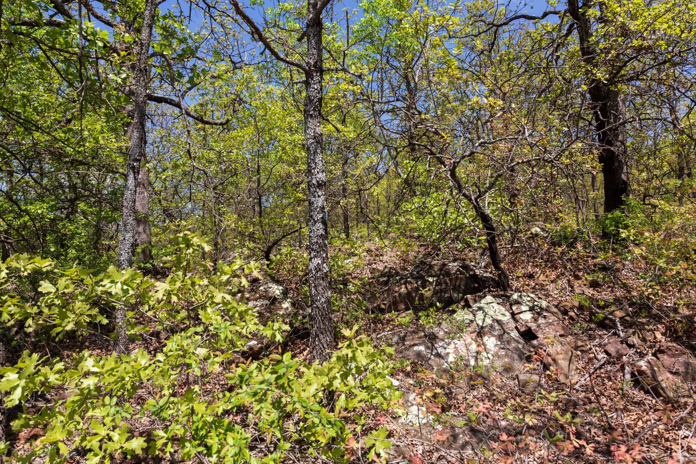 Allie’s Acres Tract 3 photo 26