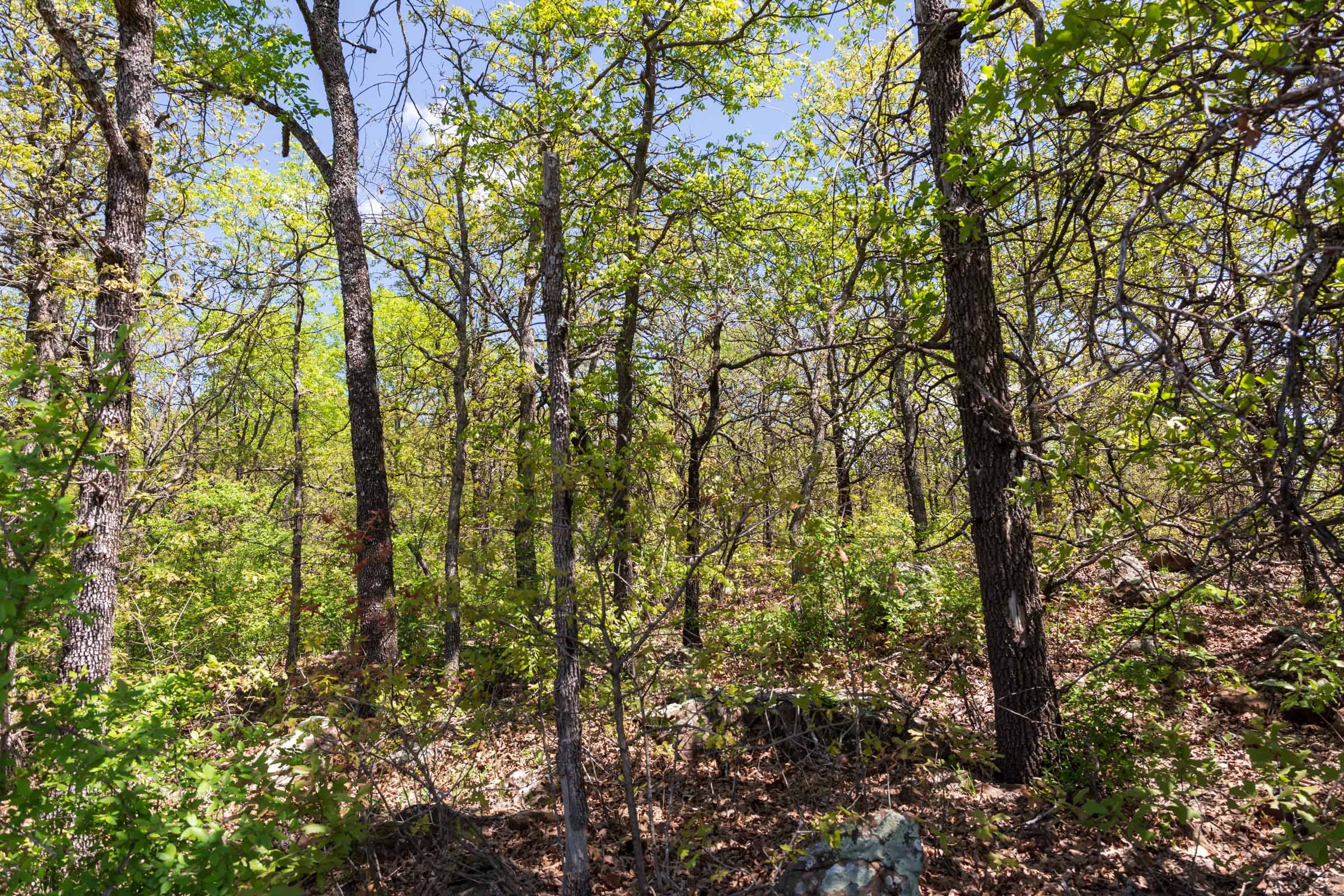 Allie’s Acres Tract 3 photo 28