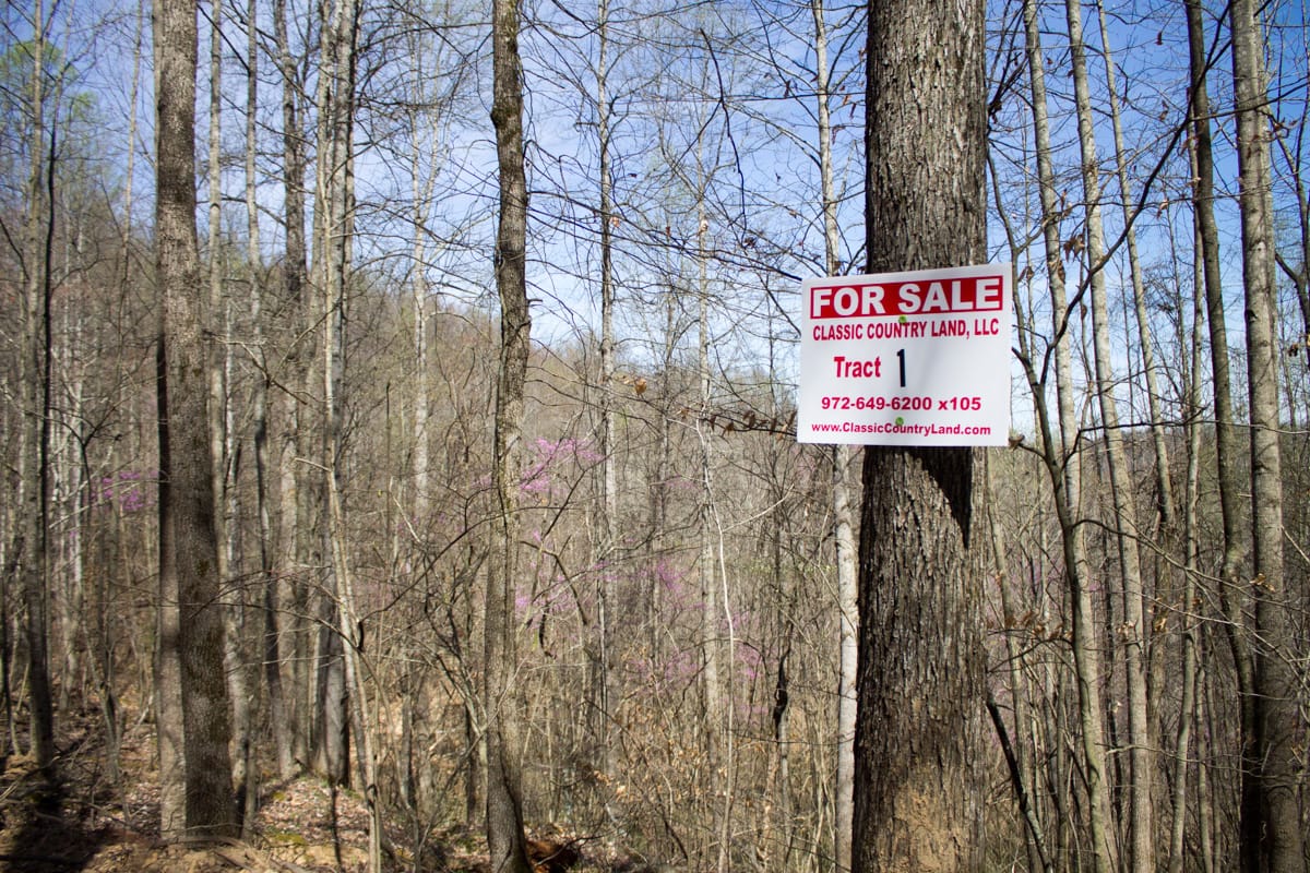 Chestnut Oak Ridge Tract 1 photo 1