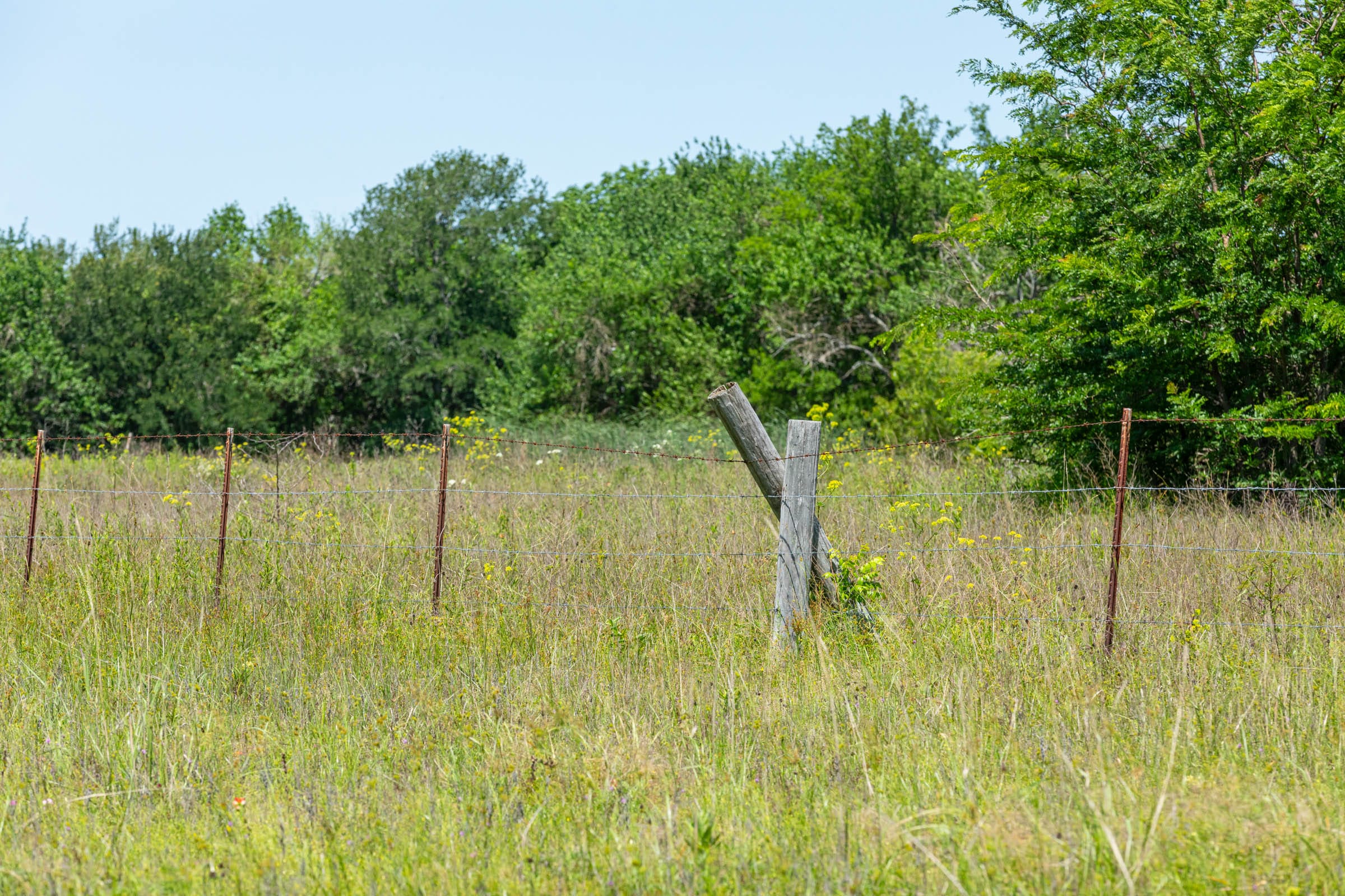 Wildflower Reserve Tract 1 photo 4