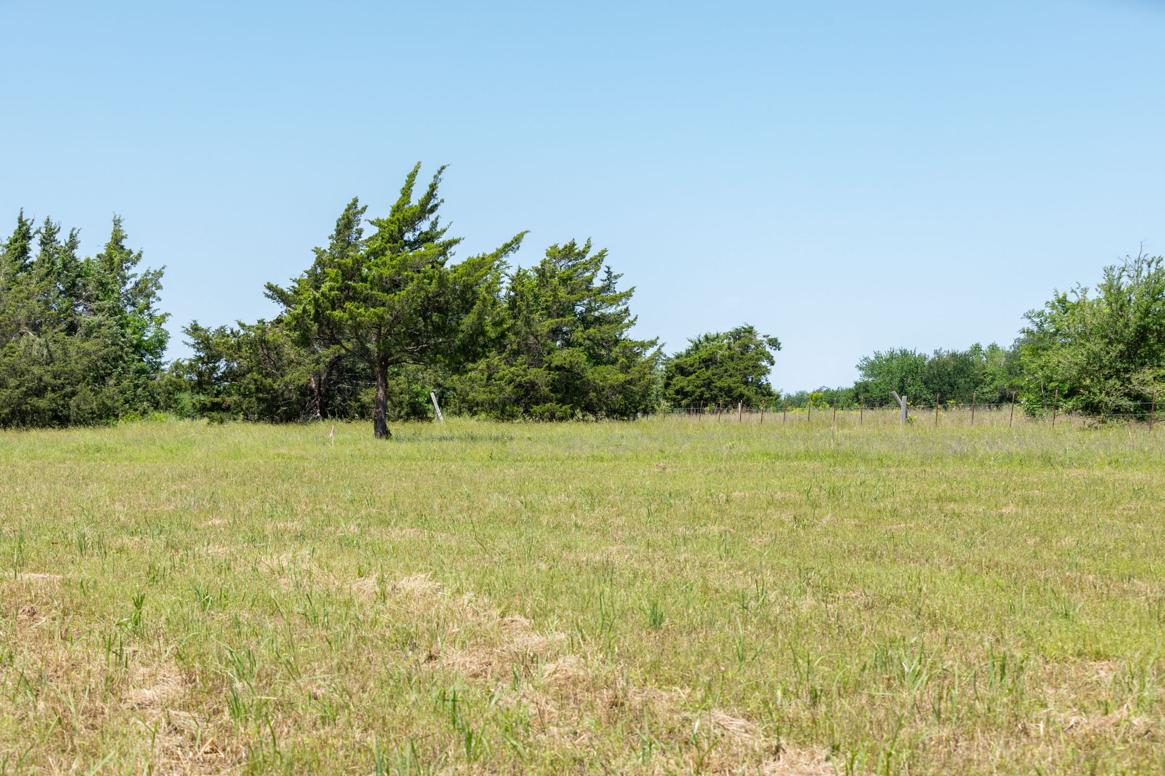 Wildflower Reserve Tract 1 photo 3