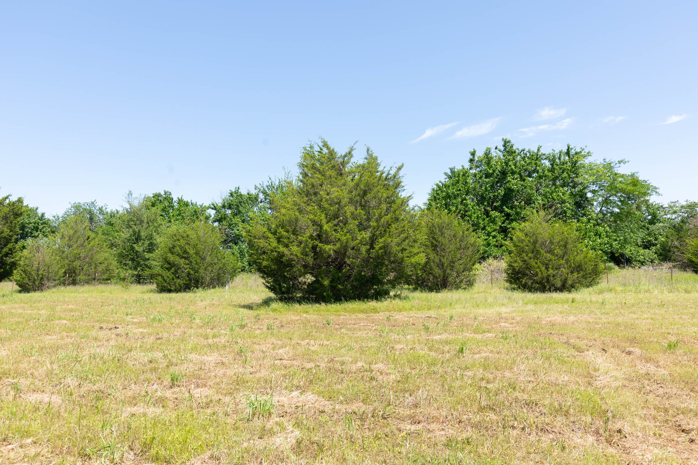 Wildflower Reserve Tract 1 photo 5