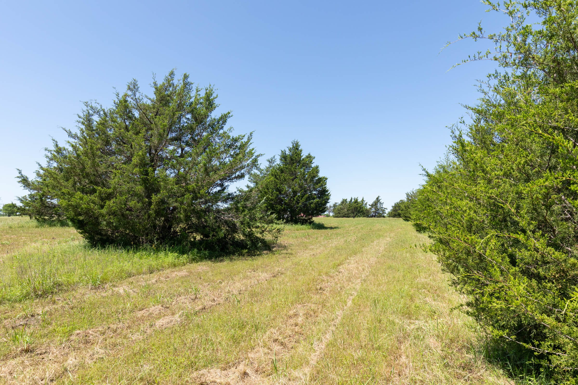 Wildflower Reserve Tract 1 photo 6