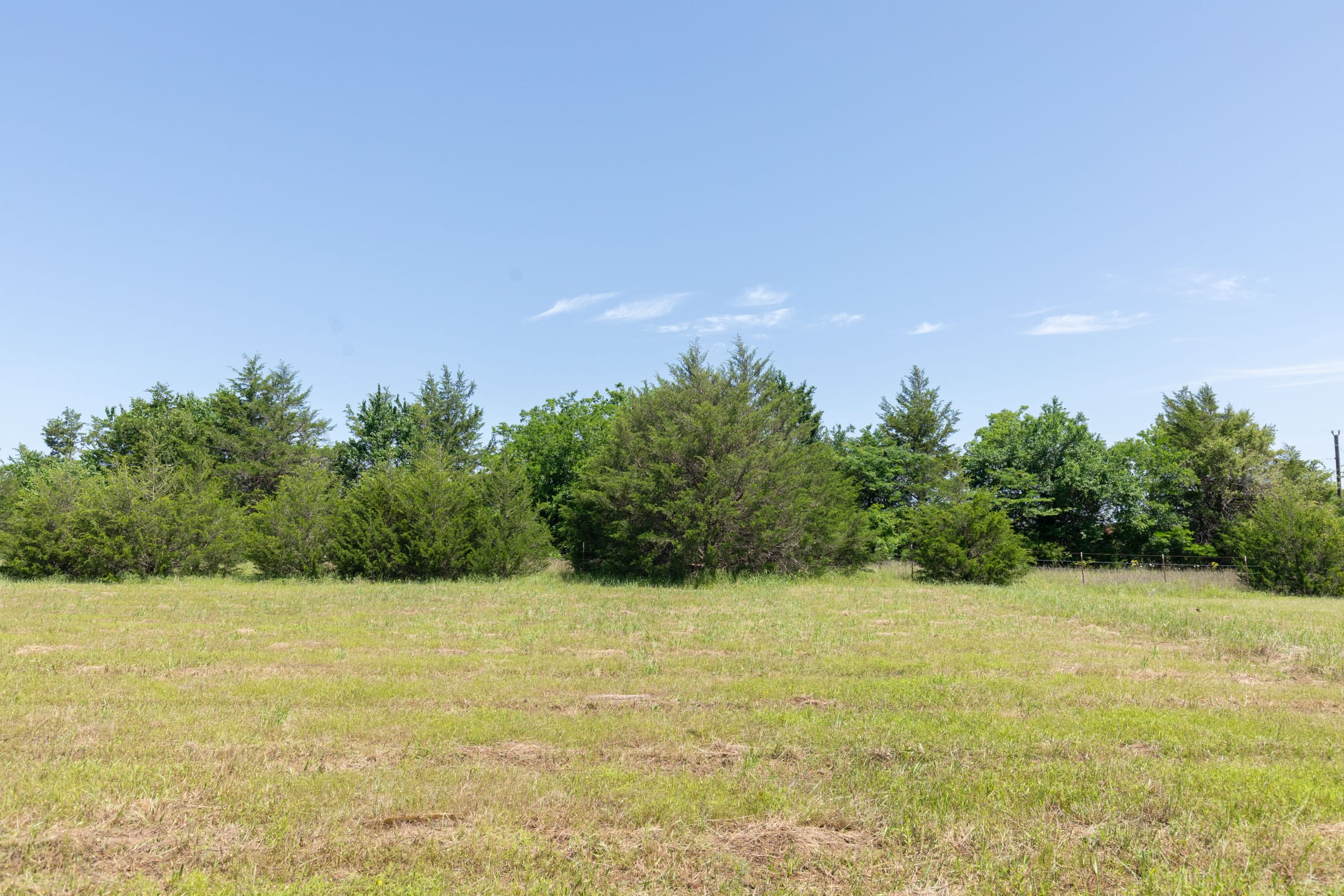 Wildflower Reserve Tract 1 photo 7