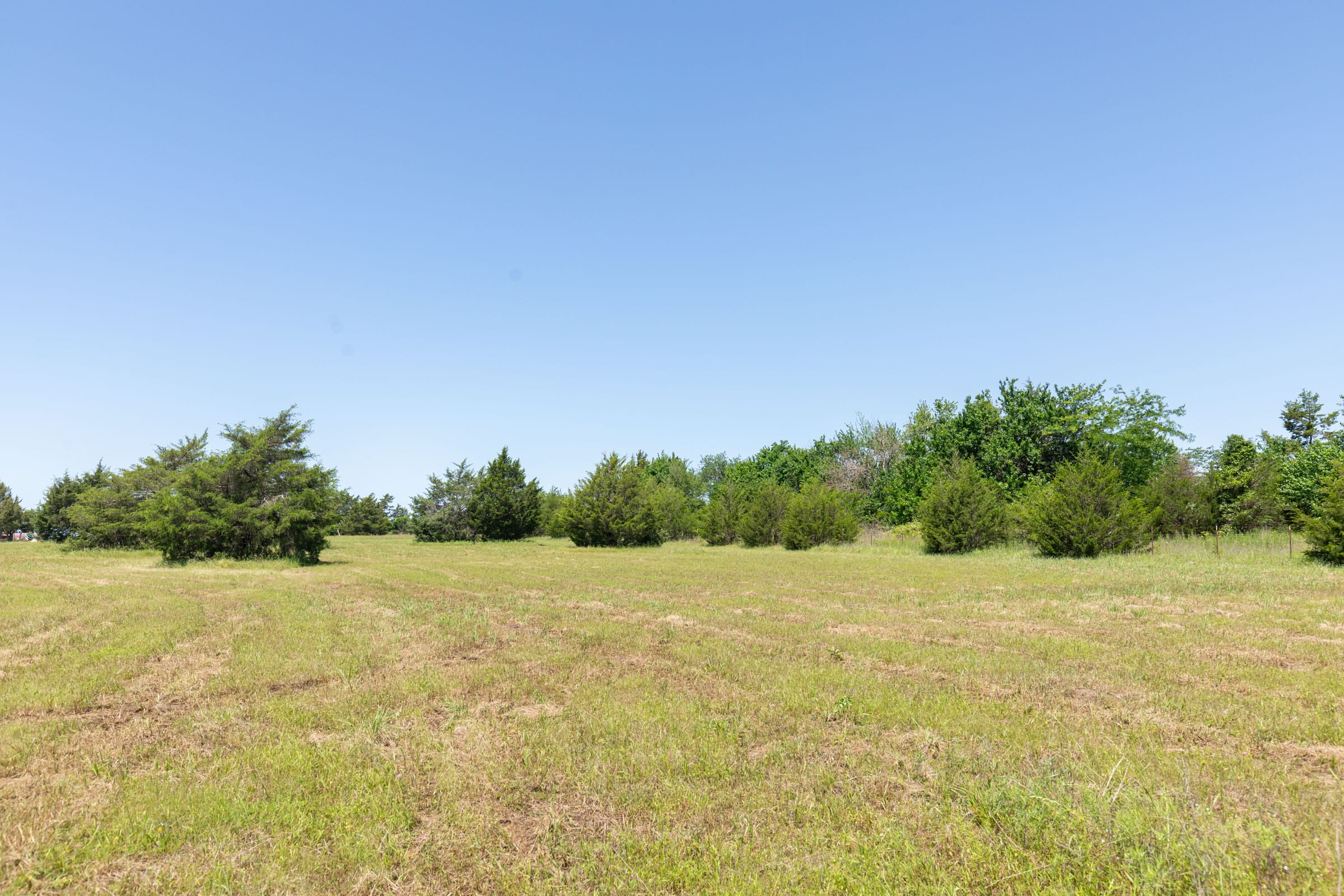 Wildflower Reserve Tract 1 photo 9