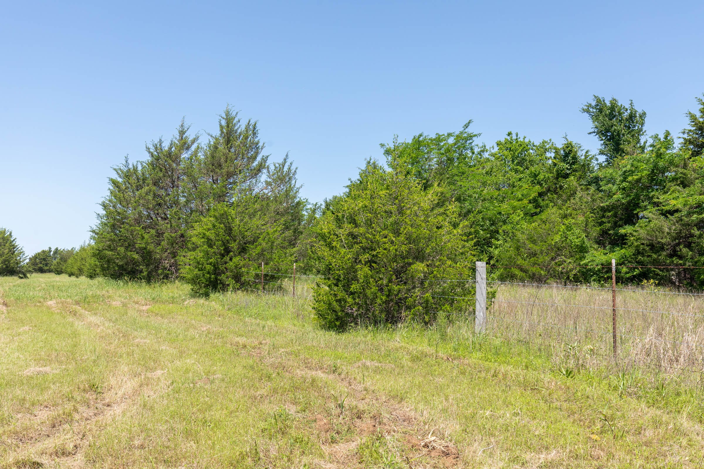 Wildflower Reserve Tract 1 photo 11
