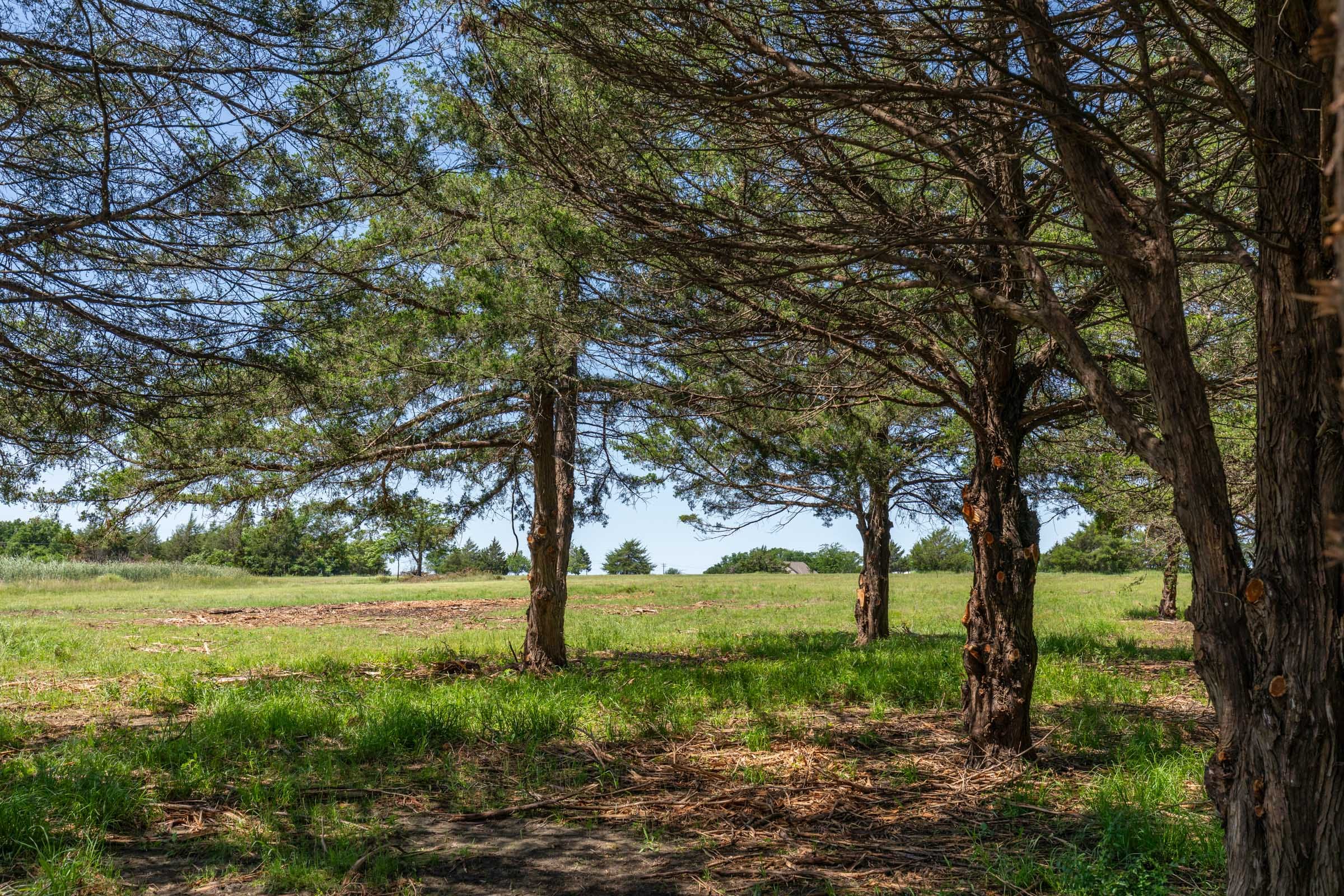 Wildflower Reserve Tract 1 photo 10