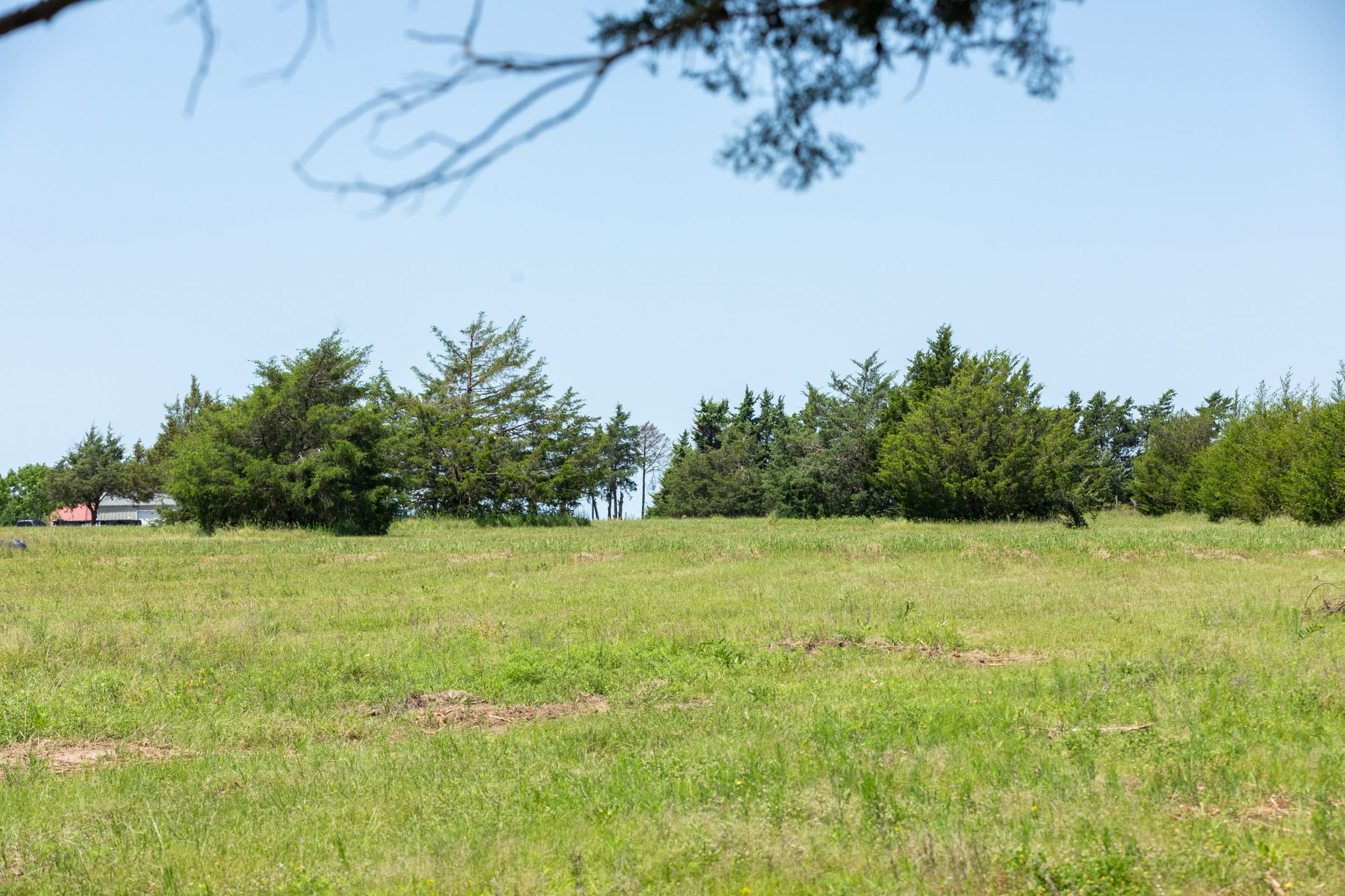 Wildflower Reserve Tract 1 photo 16
