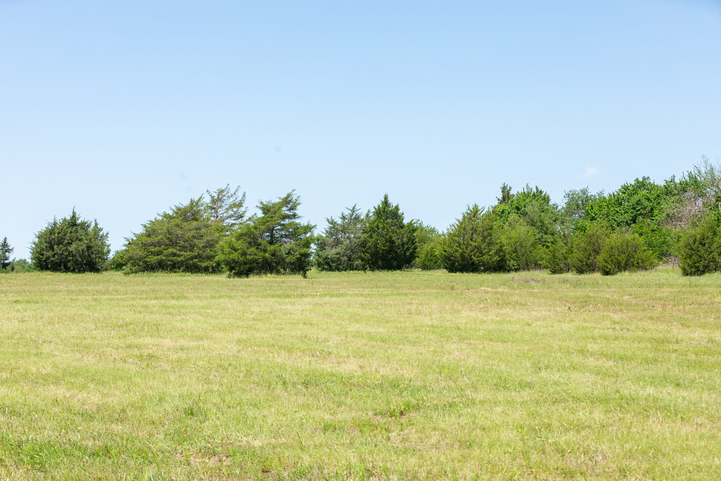 Wildflower Reserve Tract 1 photo 18