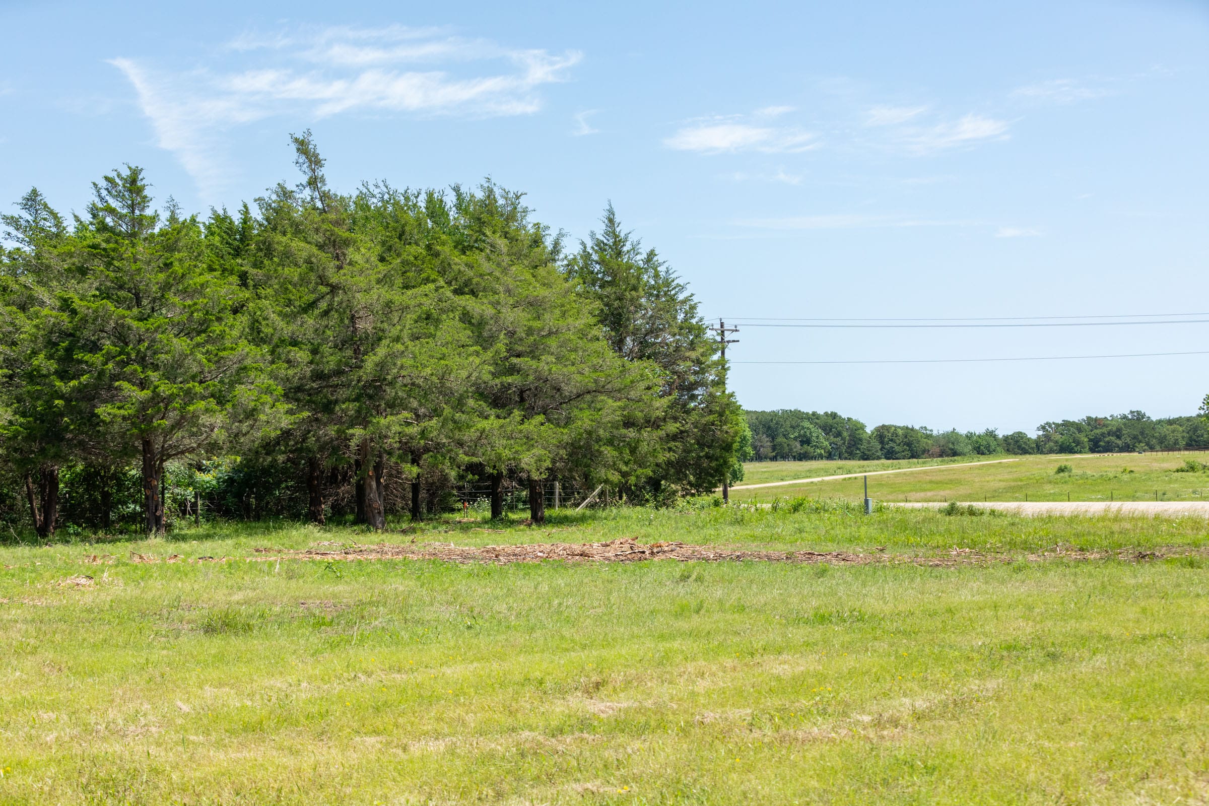 Wildflower Reserve Tract 1 photo 23