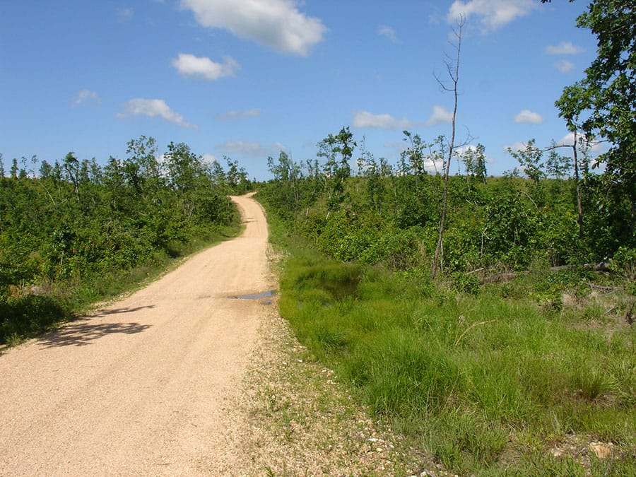 Antler Ridge Tract 1 photo 1