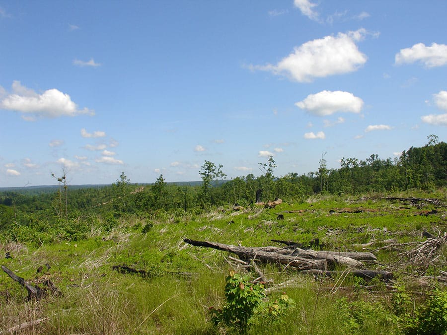 Antler Ridge Tract 1 photo 5