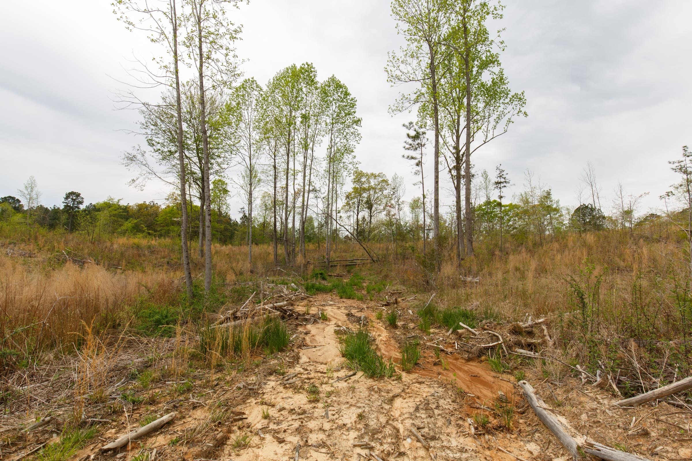 Twin Rivers Tract 11 photo 5