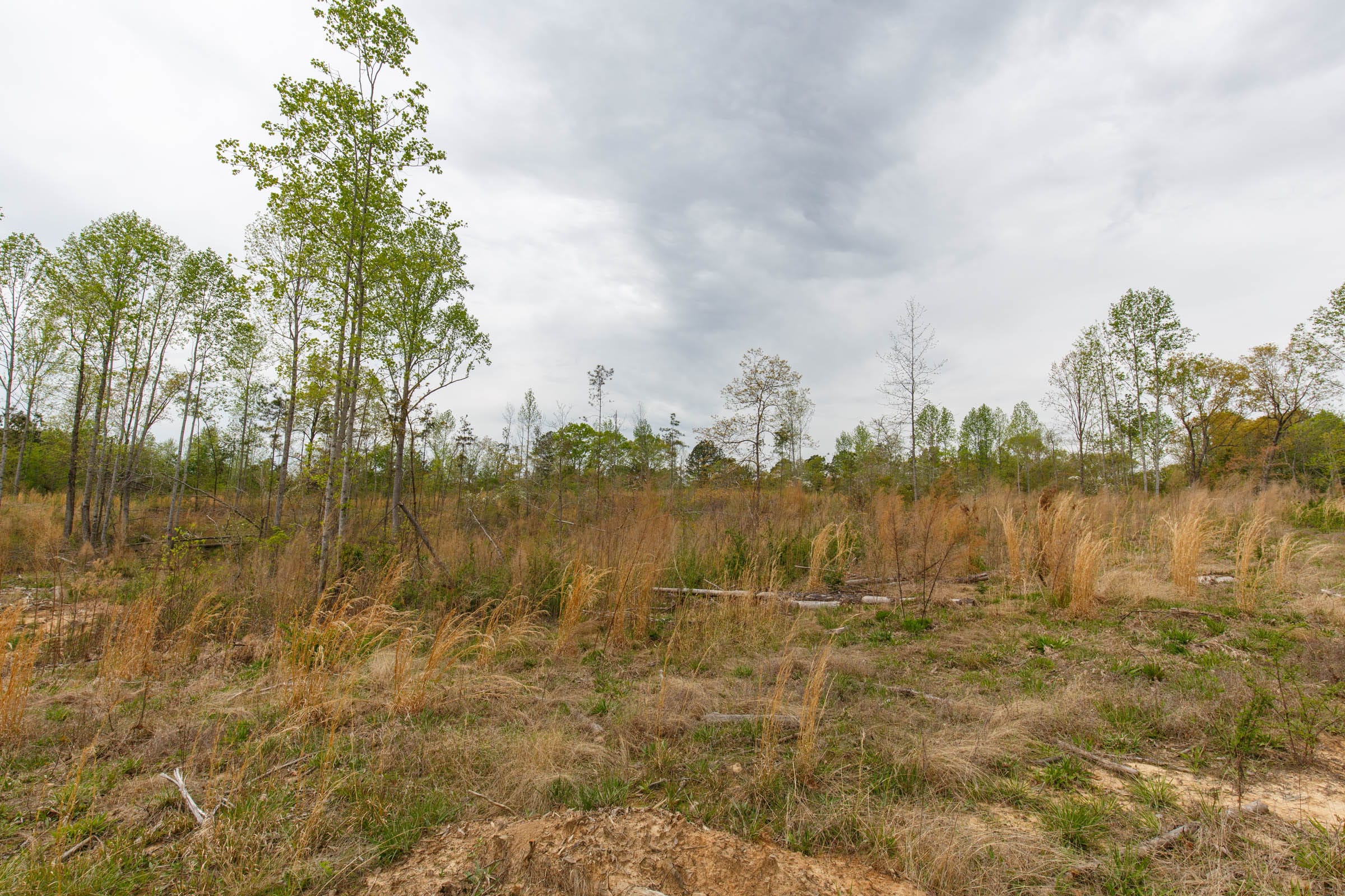 Twin Rivers Tract 11 photo 4
