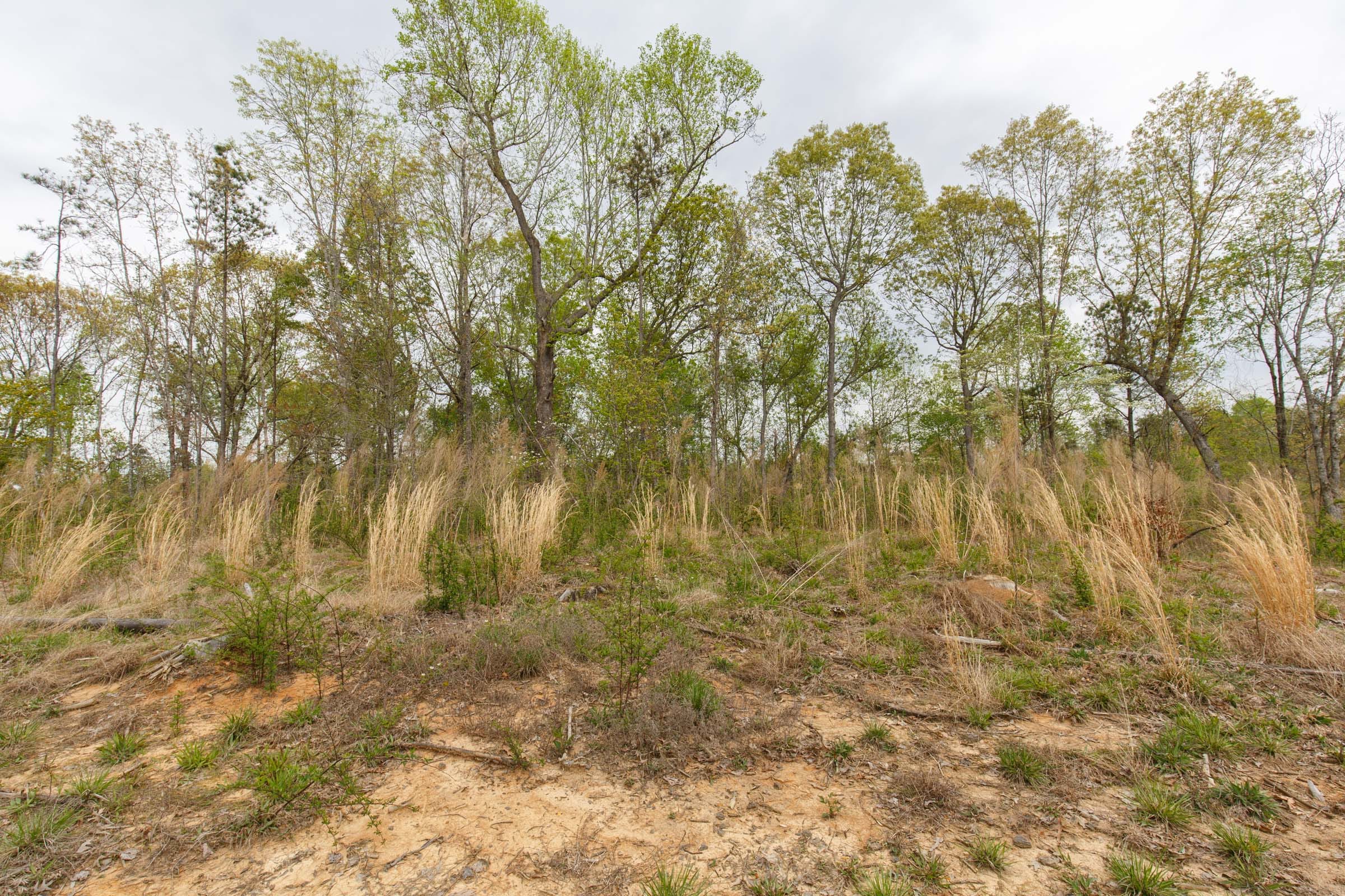 Twin Rivers Tract 11 photo 6
