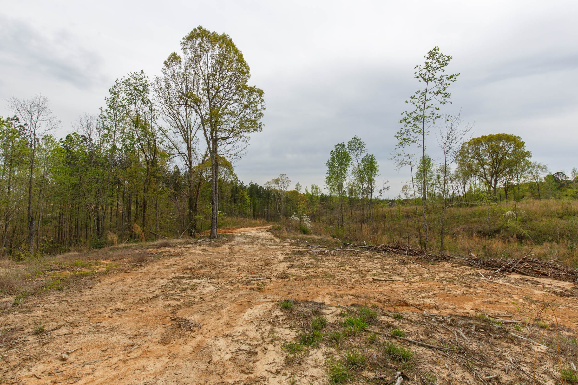 Twin Rivers Tract 11 photo 11