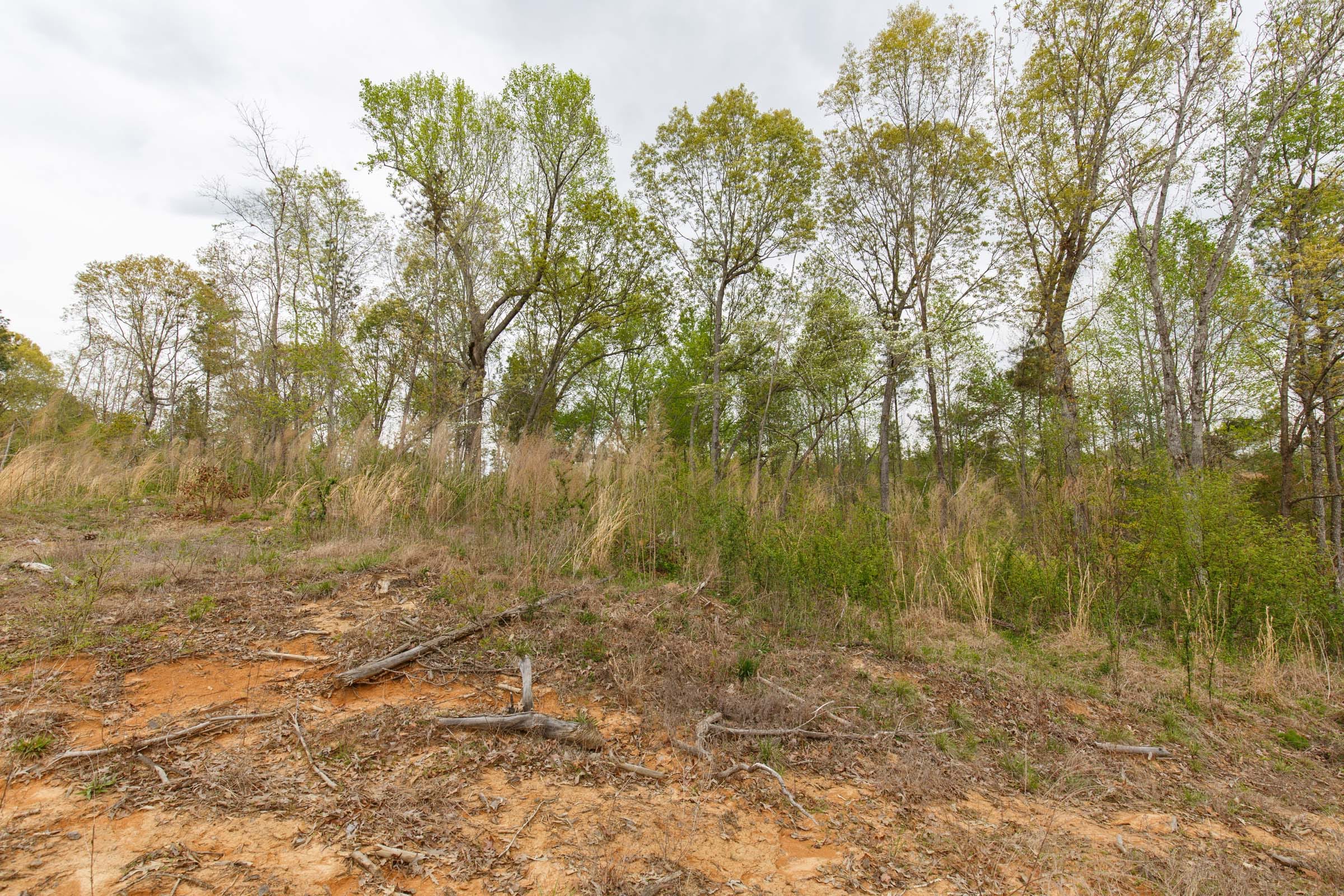 Twin Rivers Tract 11 photo 7