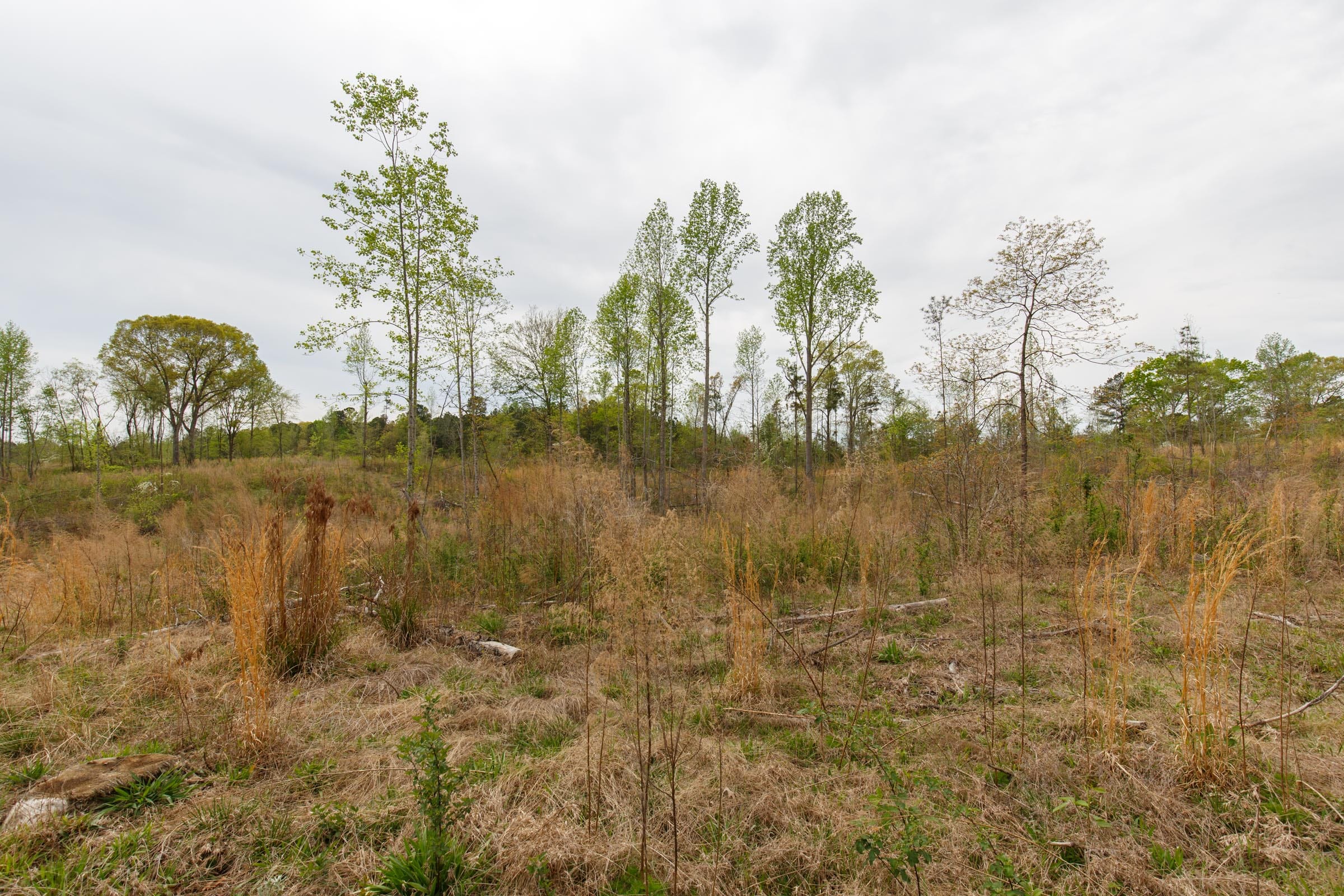 Twin Rivers Tract 11 photo 9