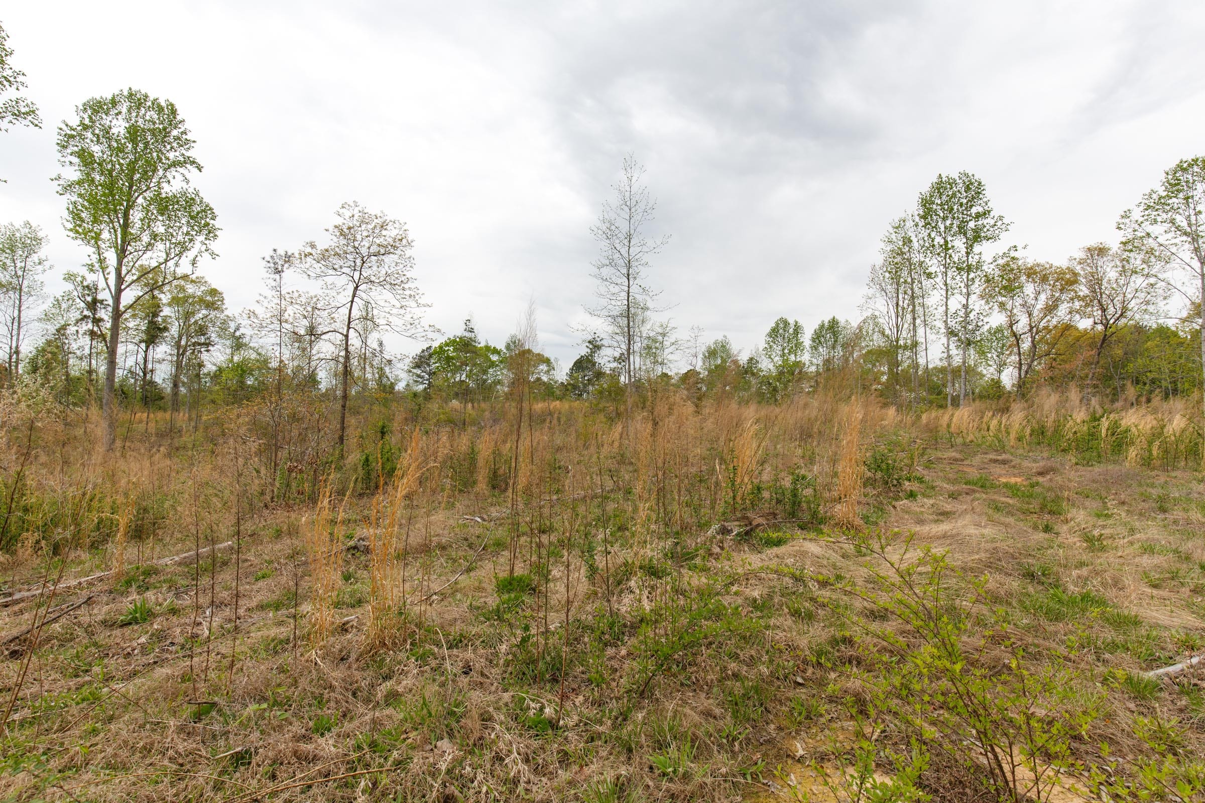 Twin Rivers Tract 11 photo 8