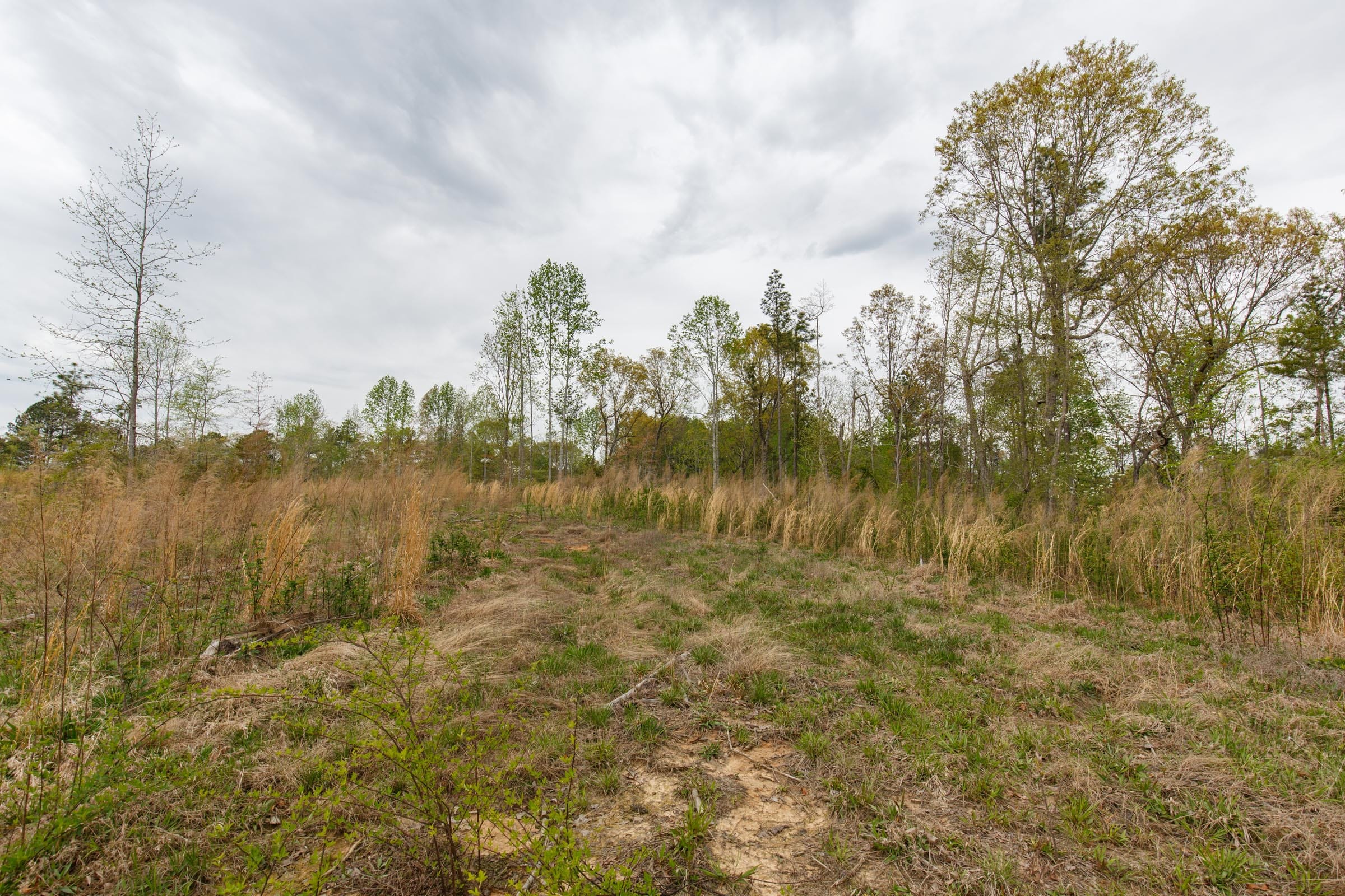 Twin Rivers Tract 11 photo 10