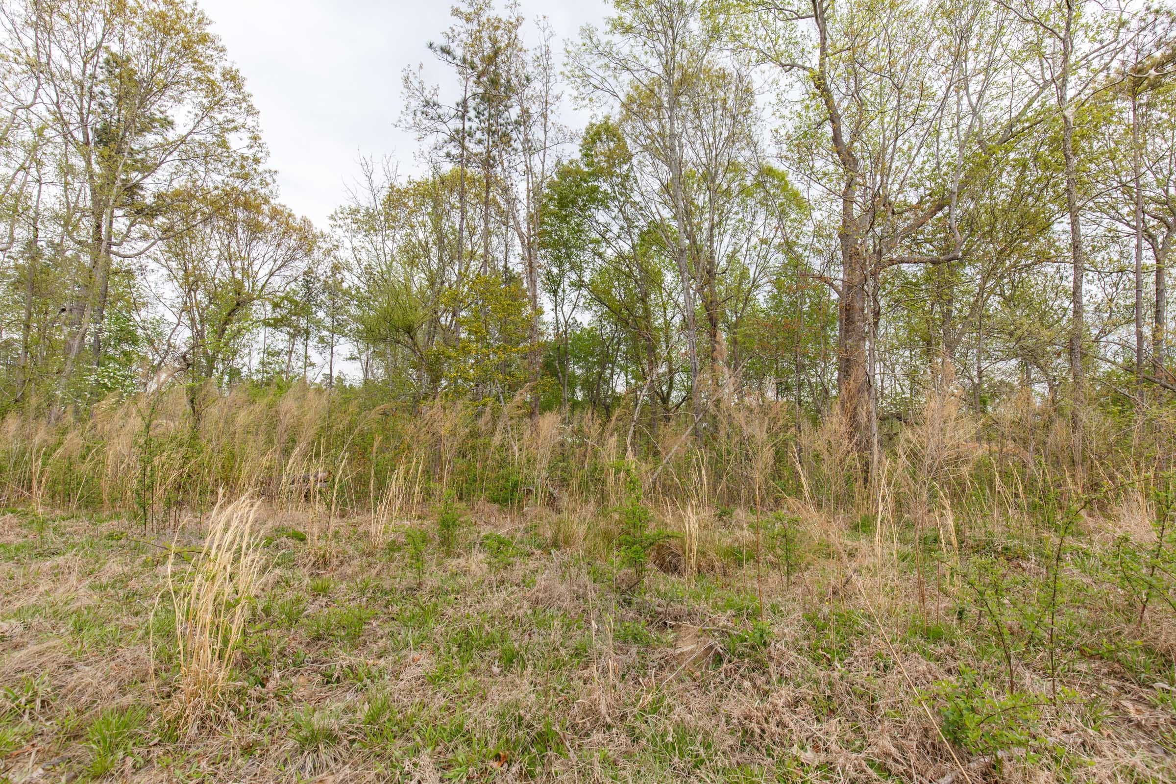 Twin Rivers Tract 11 photo 12