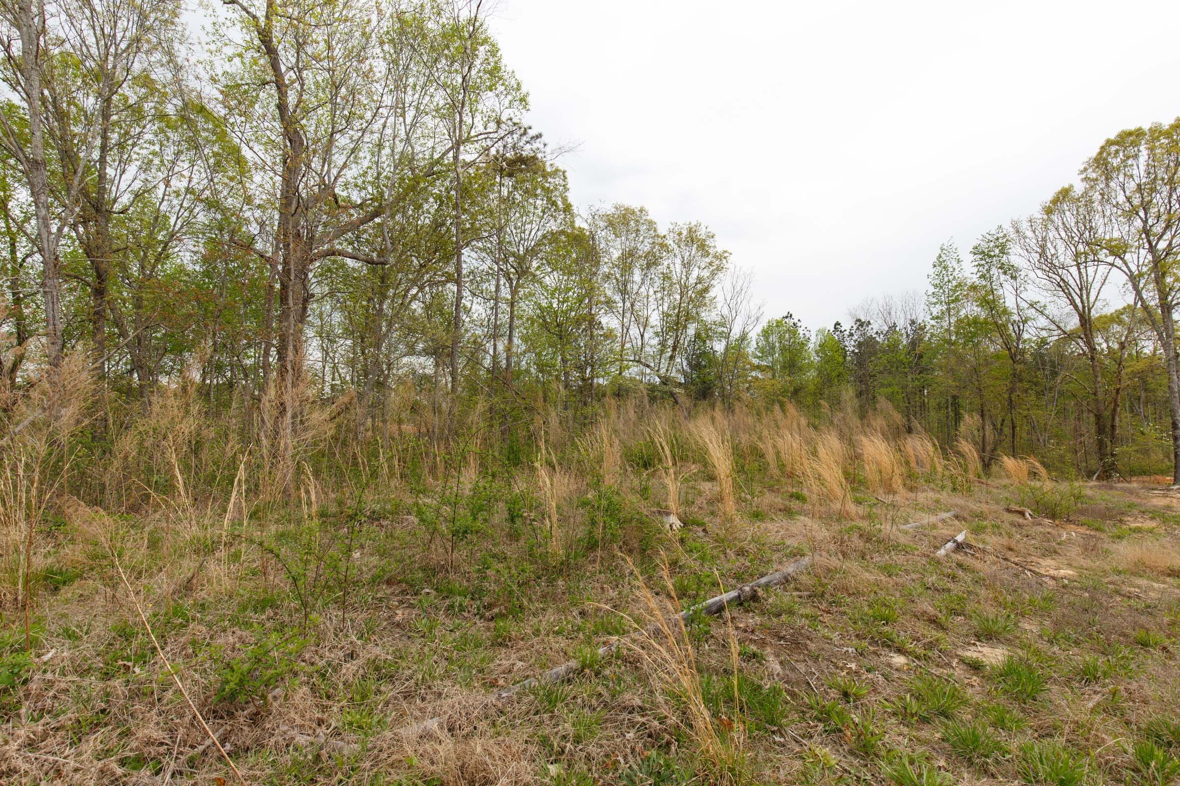 Twin Rivers Tract 11 photo 14