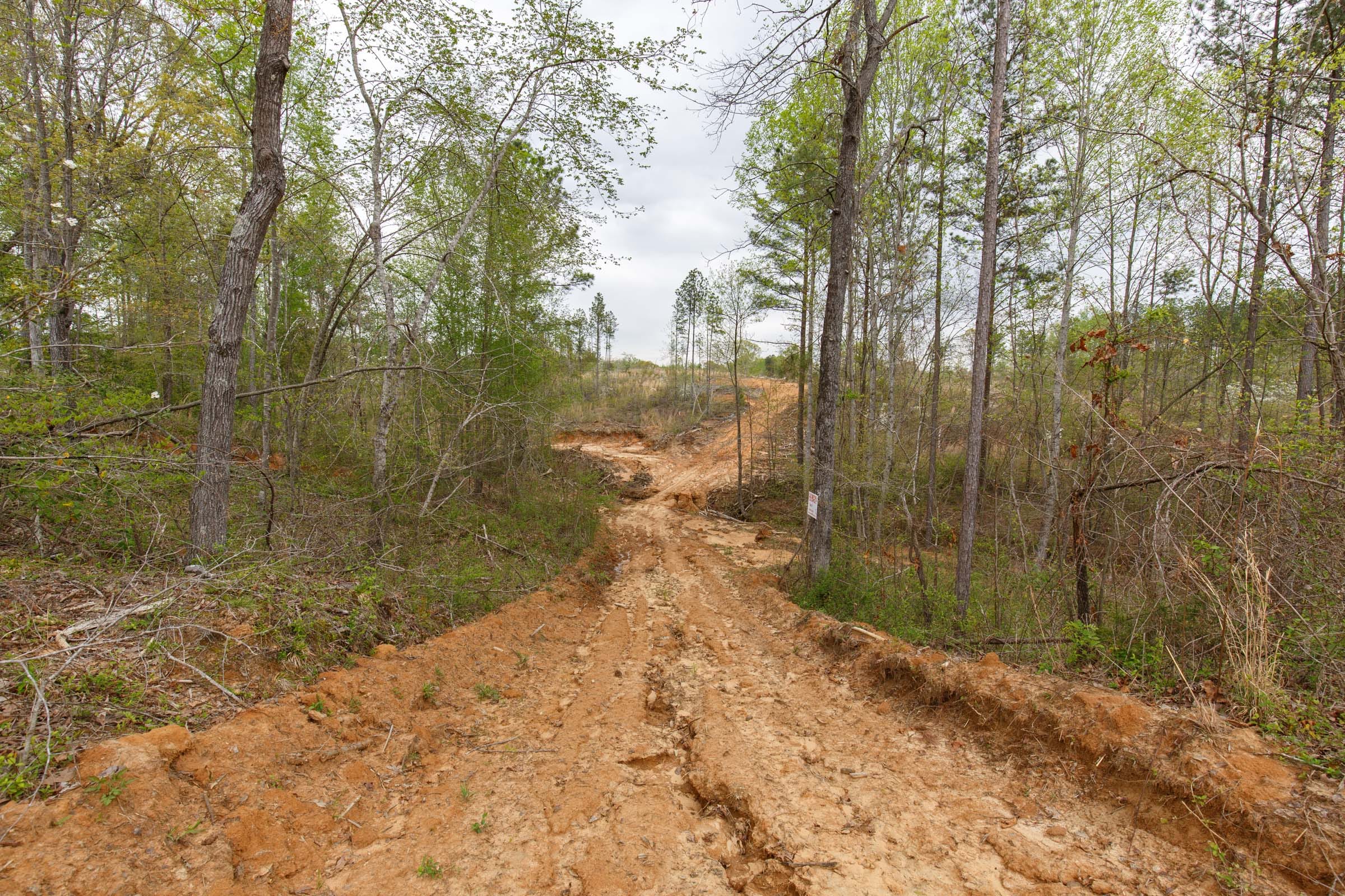 Twin Rivers Tract 11 photo 2