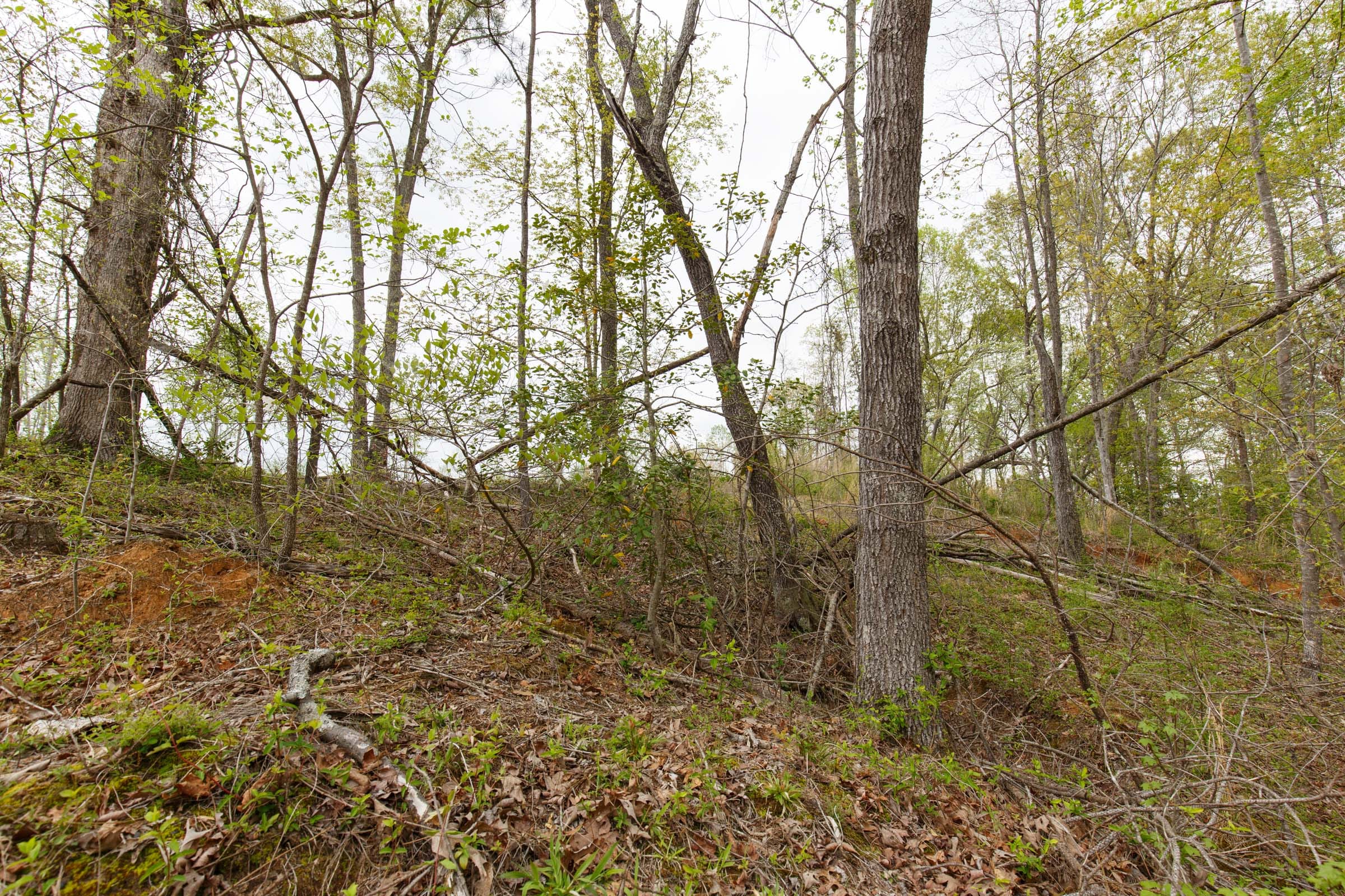Twin Rivers Tract 11 photo 13