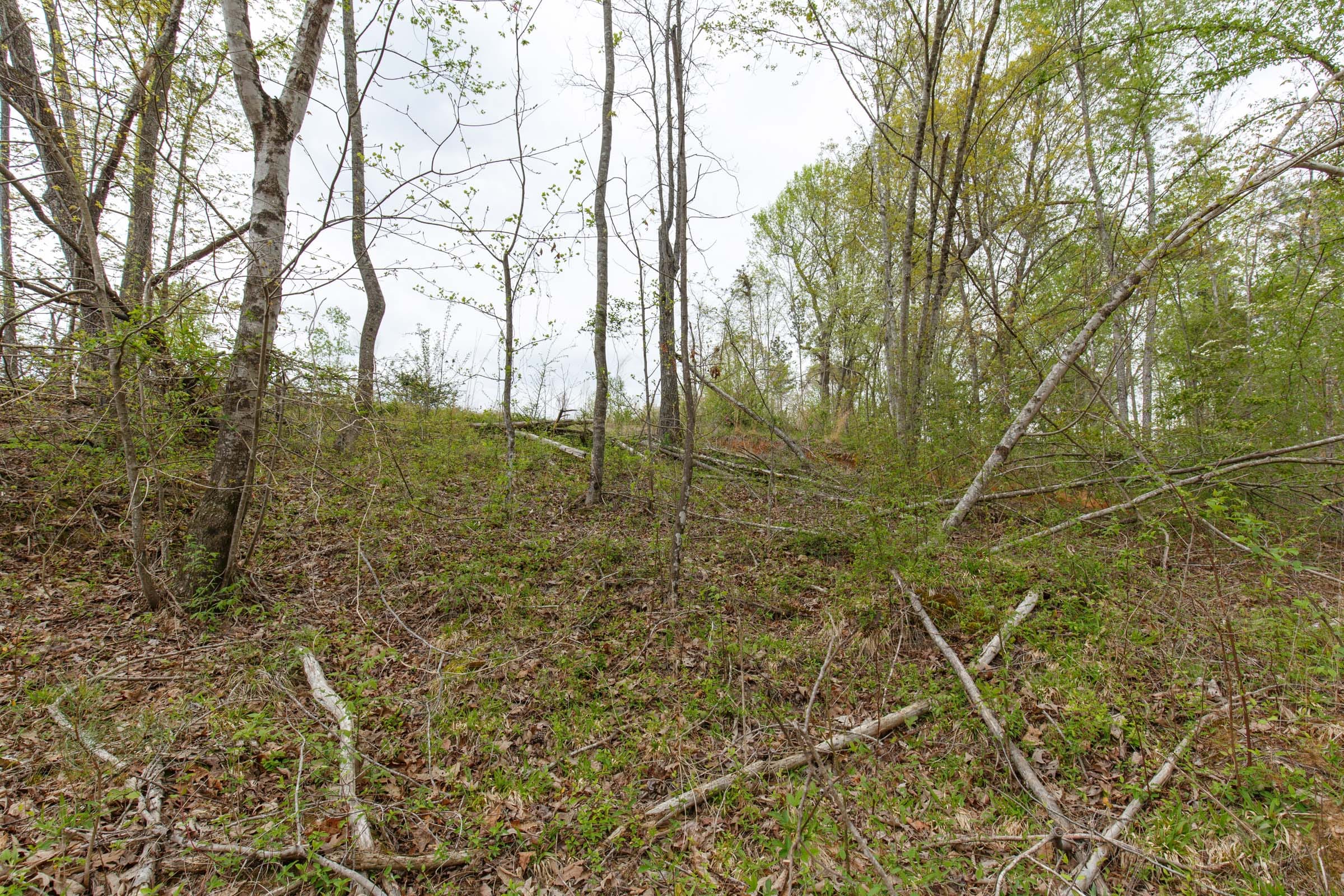 Twin Rivers Tract 11 photo 15