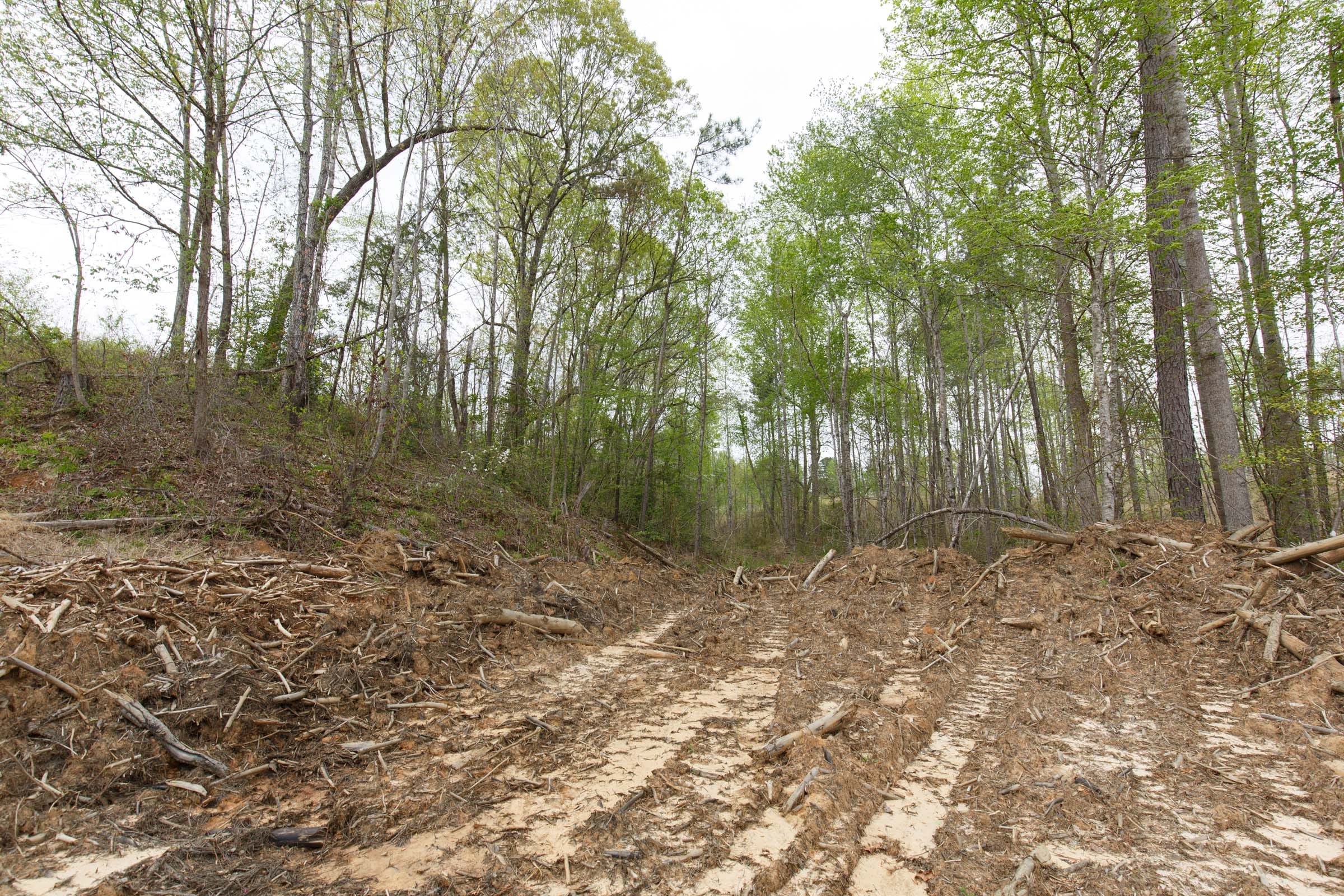 Twin Rivers Tract 11 photo 16