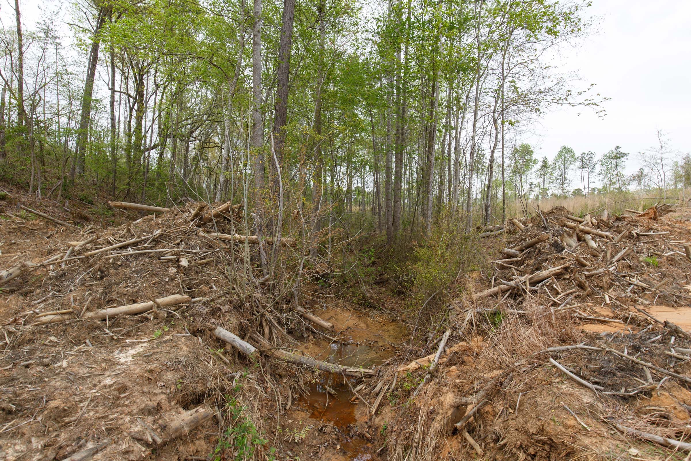 Twin Rivers Tract 11 photo 17