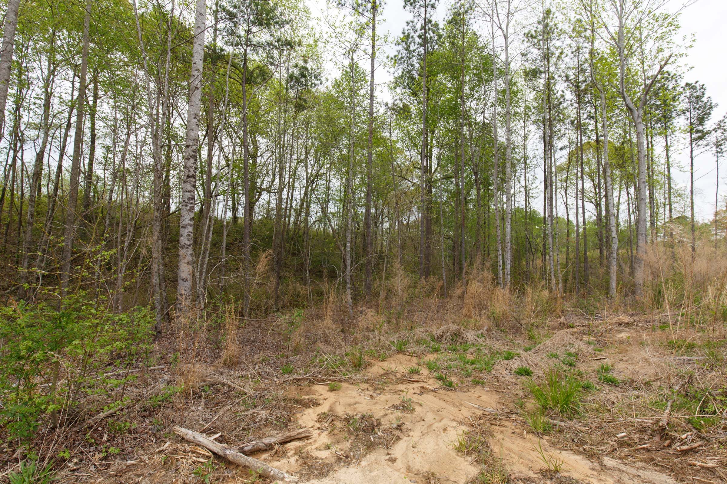 Twin Rivers Tract 11 photo 19