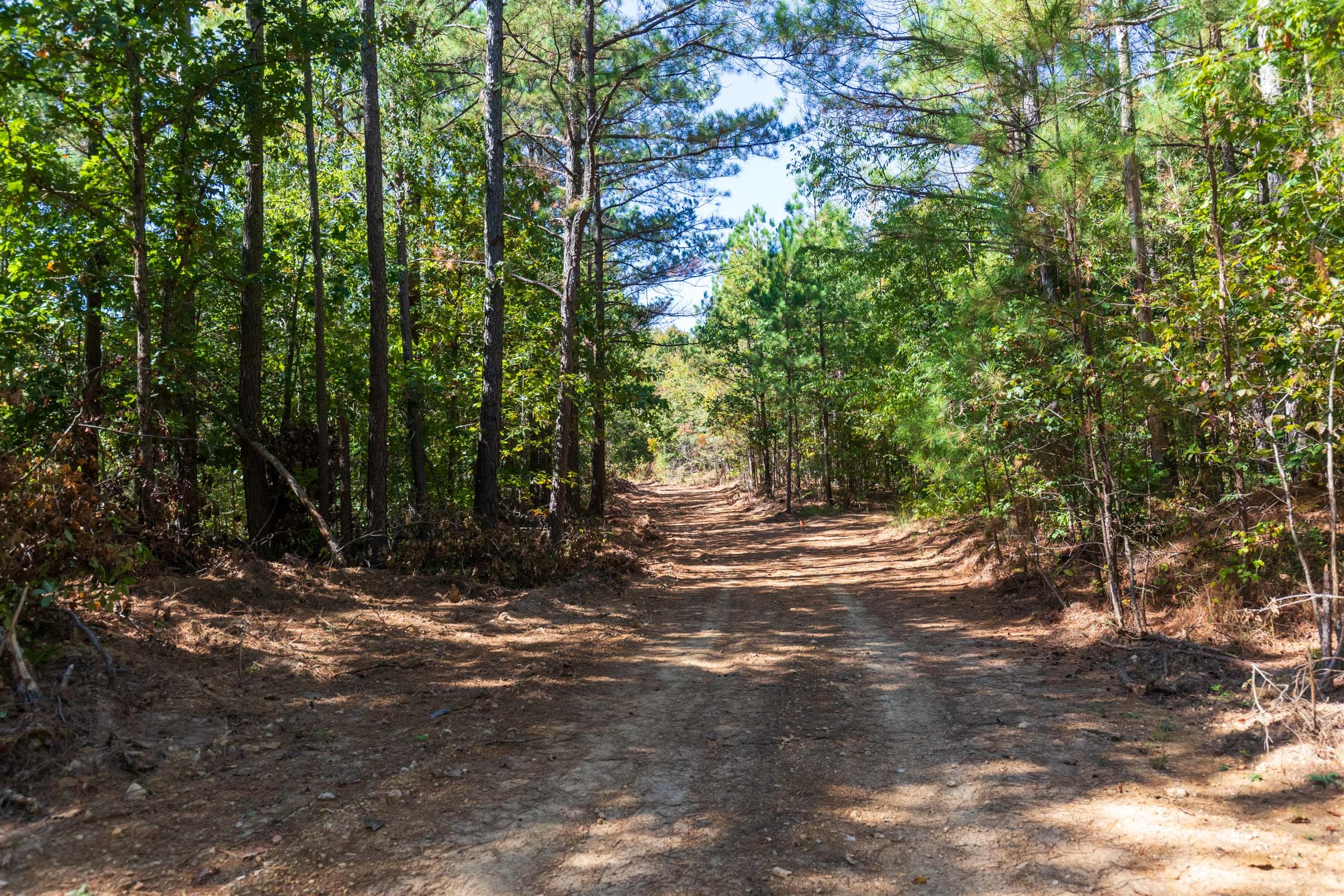 Bear Brook Tract 11 photo 1