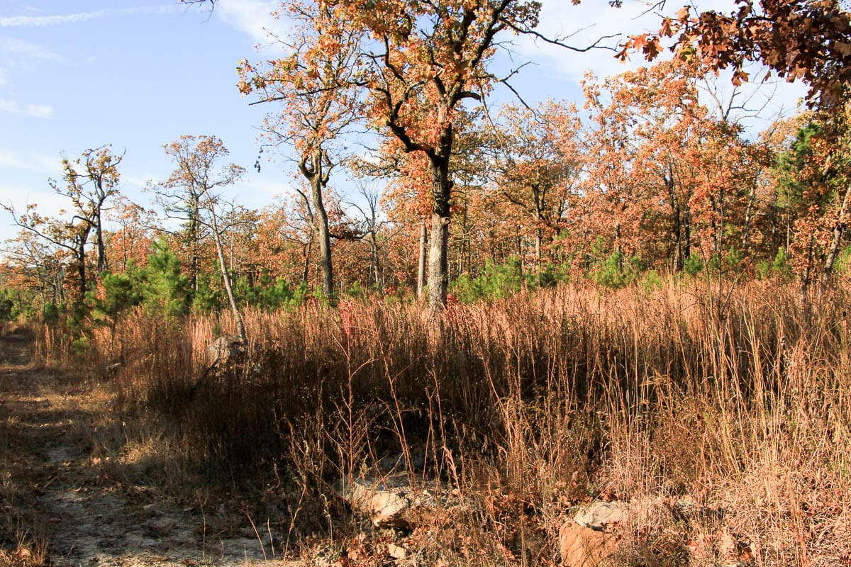 Stone Creek Phase III Tract 17 photo 1