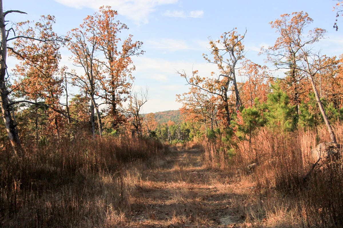 Stone Creek Phase III Tract 17 photo 2