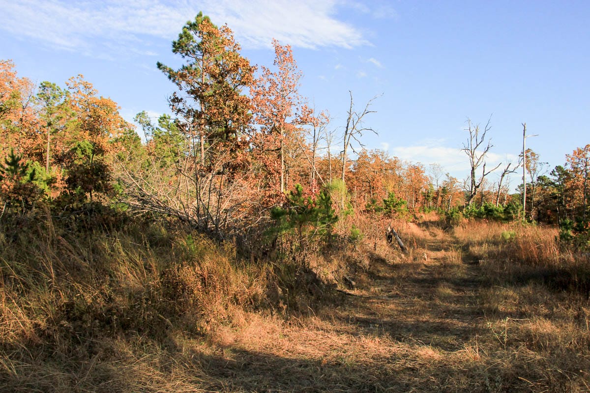 Stone Creek Phase III Tract 17 photo 4