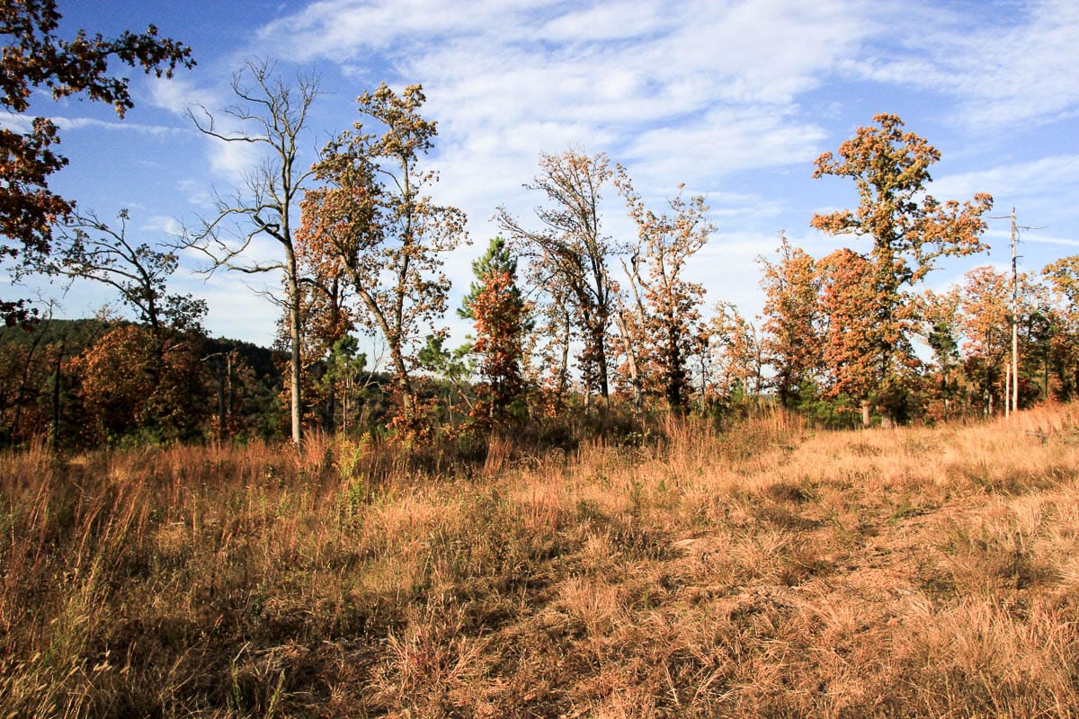 Stone Creek Phase III Tract 17 photo 8