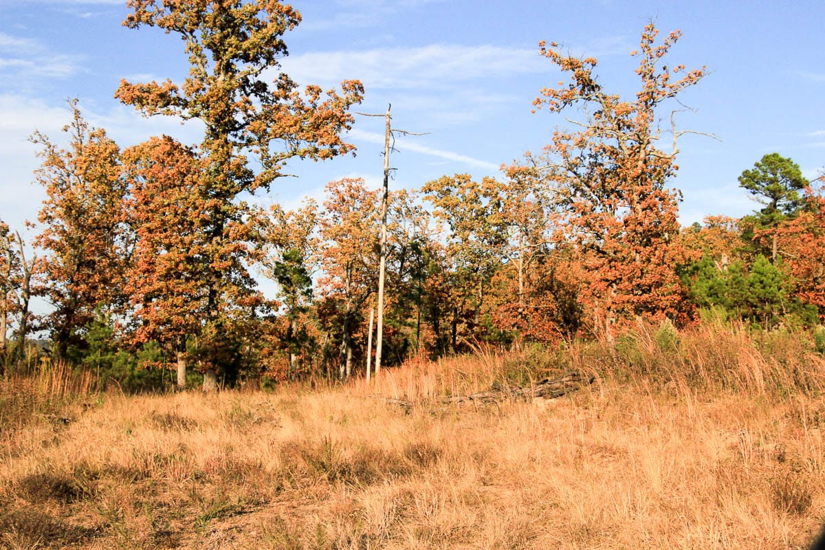 Stone Creek Phase III Tract 17 photo 9