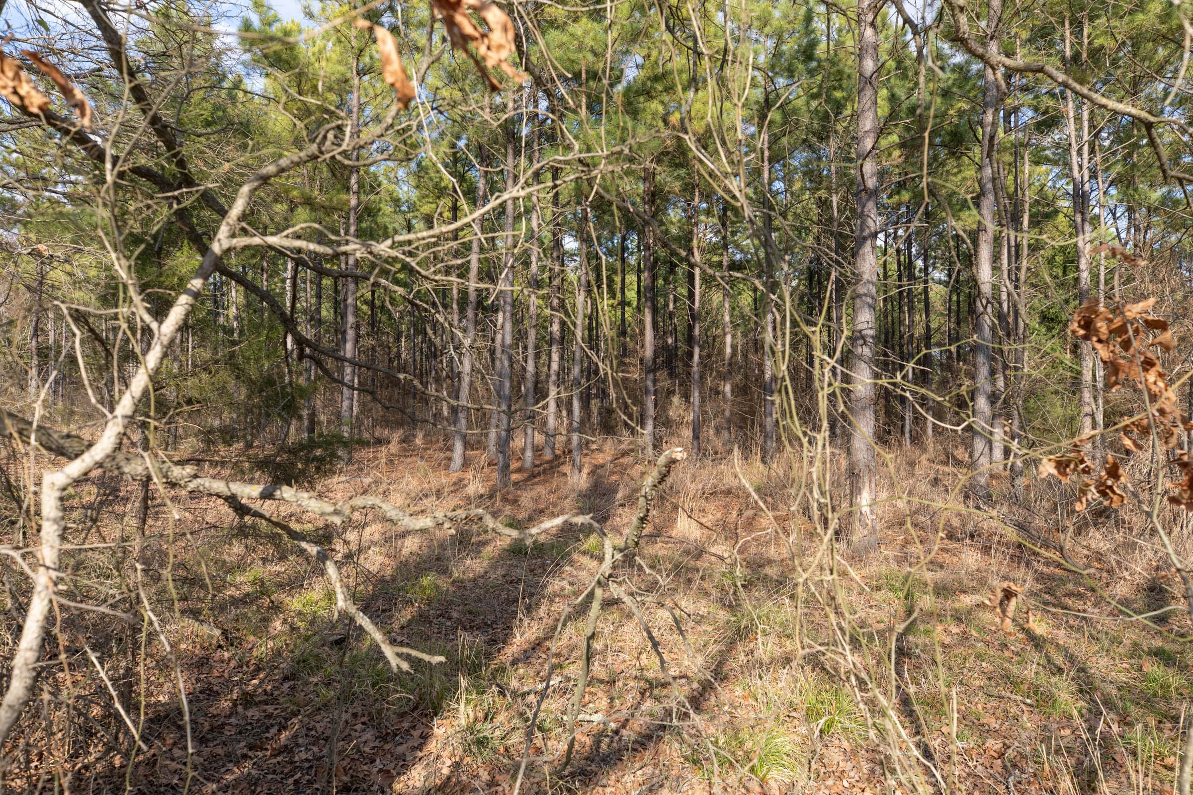 Wishing Star Ranch Tract 42 photo 2