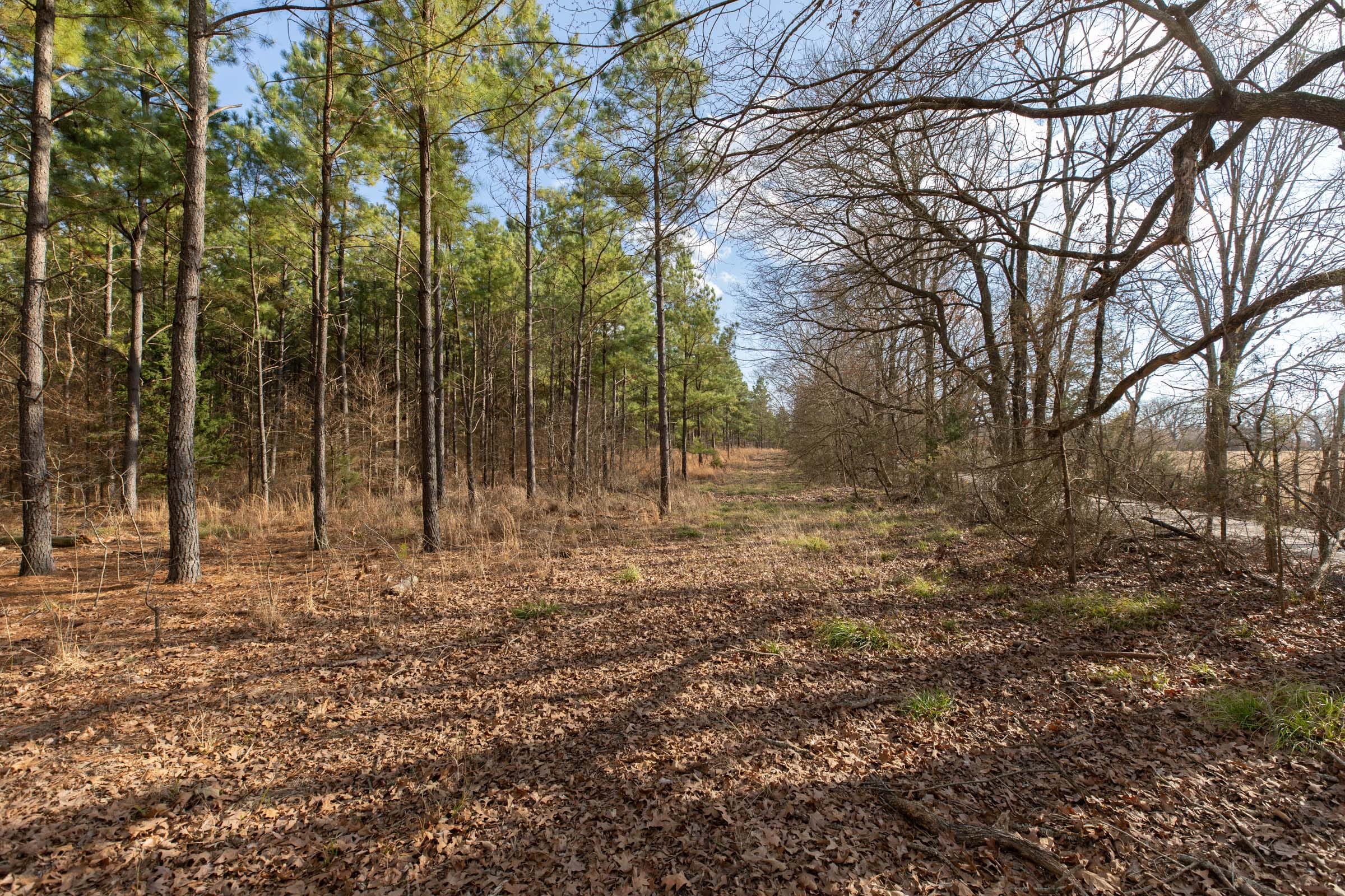 Wishing Star Ranch Tract 42 photo 5