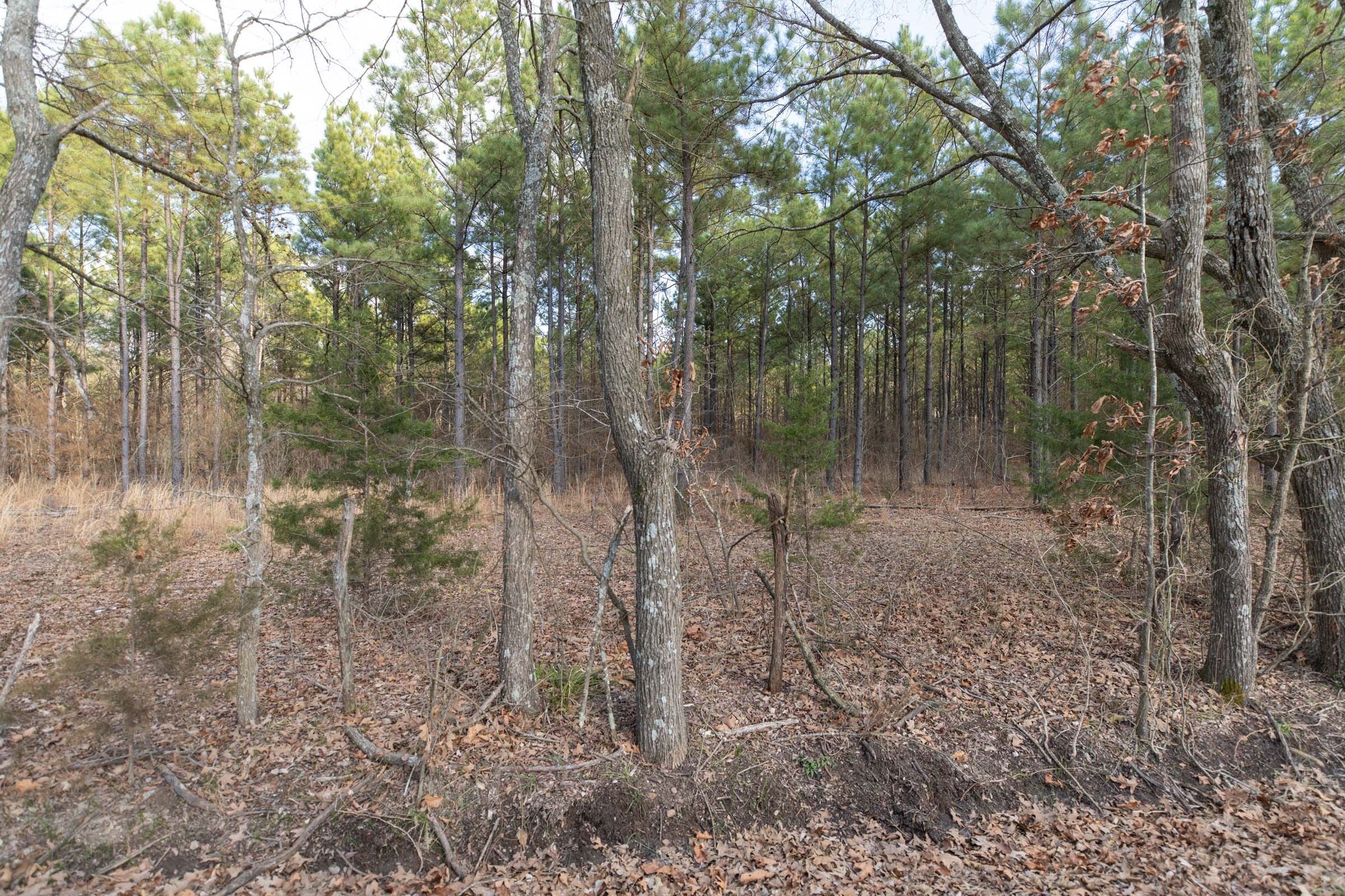 Wishing Star Ranch Tract 42 photo 10