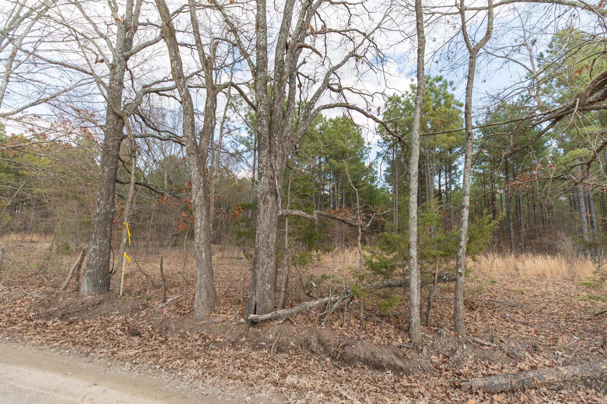 Wishing Star Ranch Tract 42 photo 11