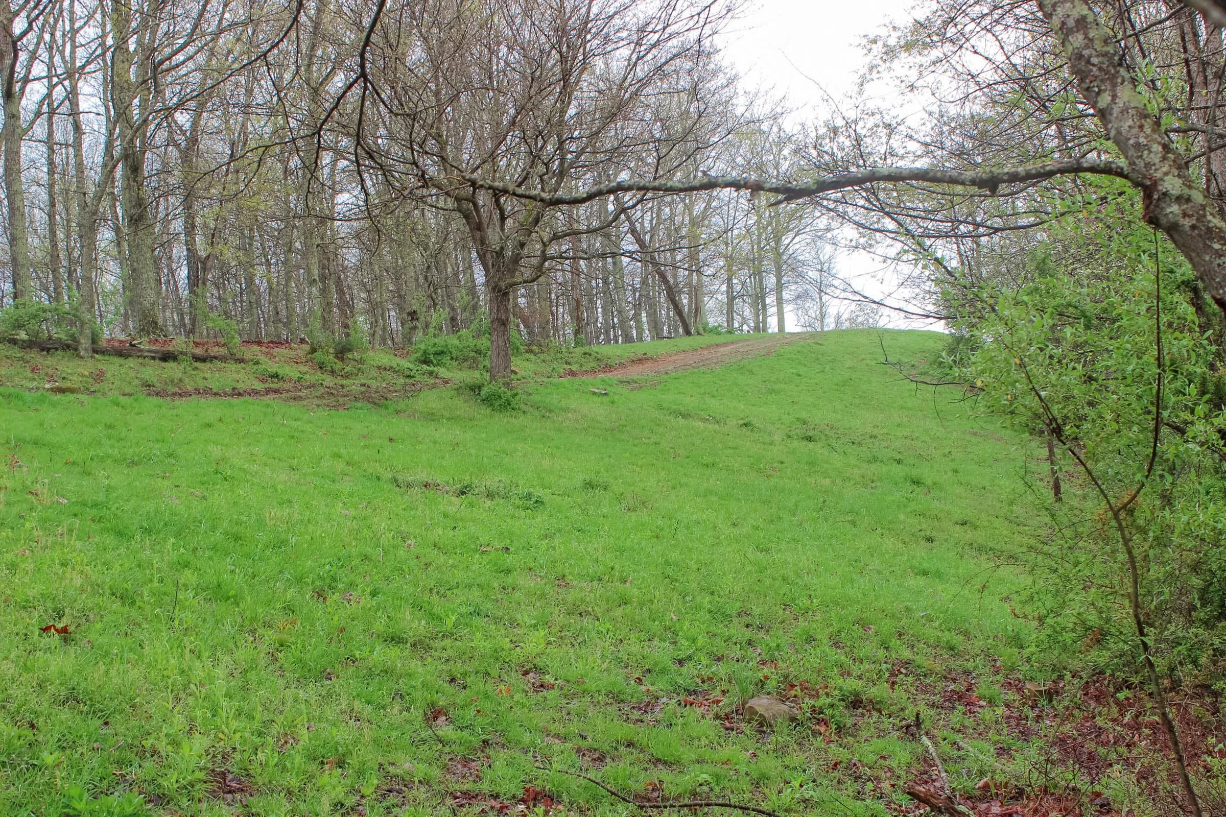 Serenity Creek Tract 12 photo 3