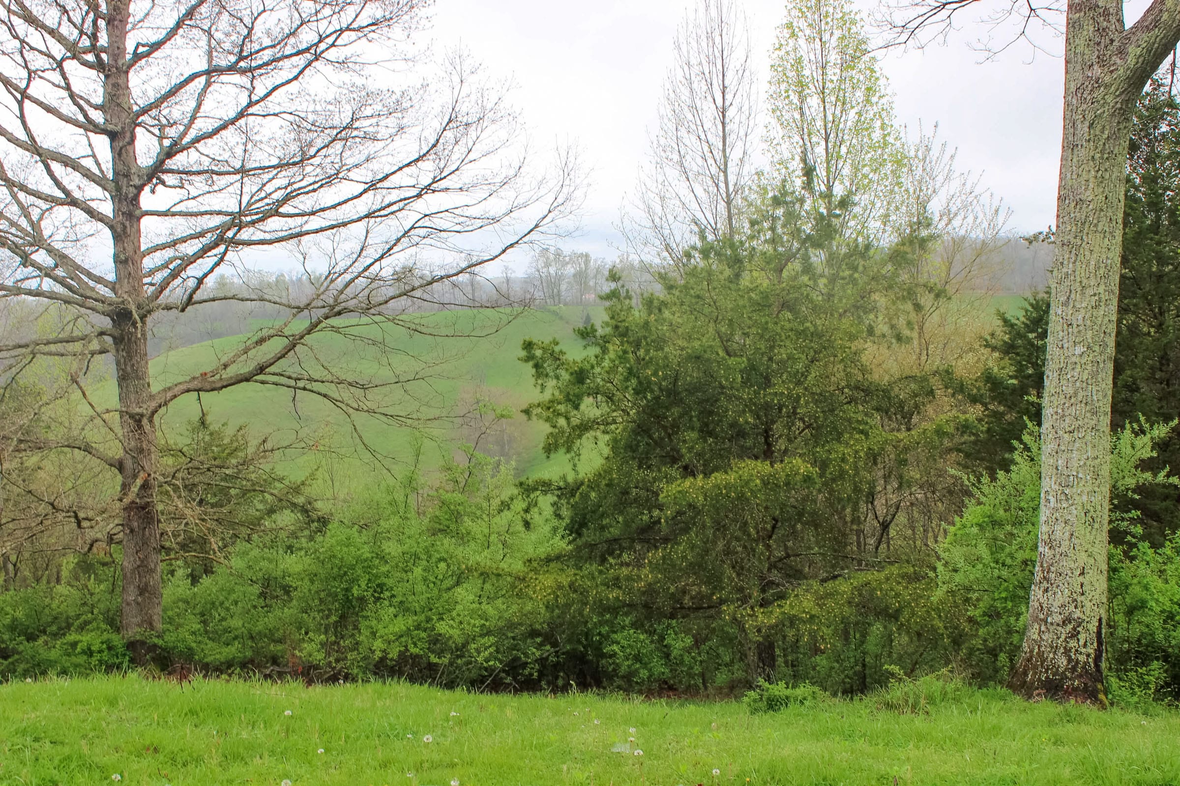 Serenity Creek Tract 12 photo 6
