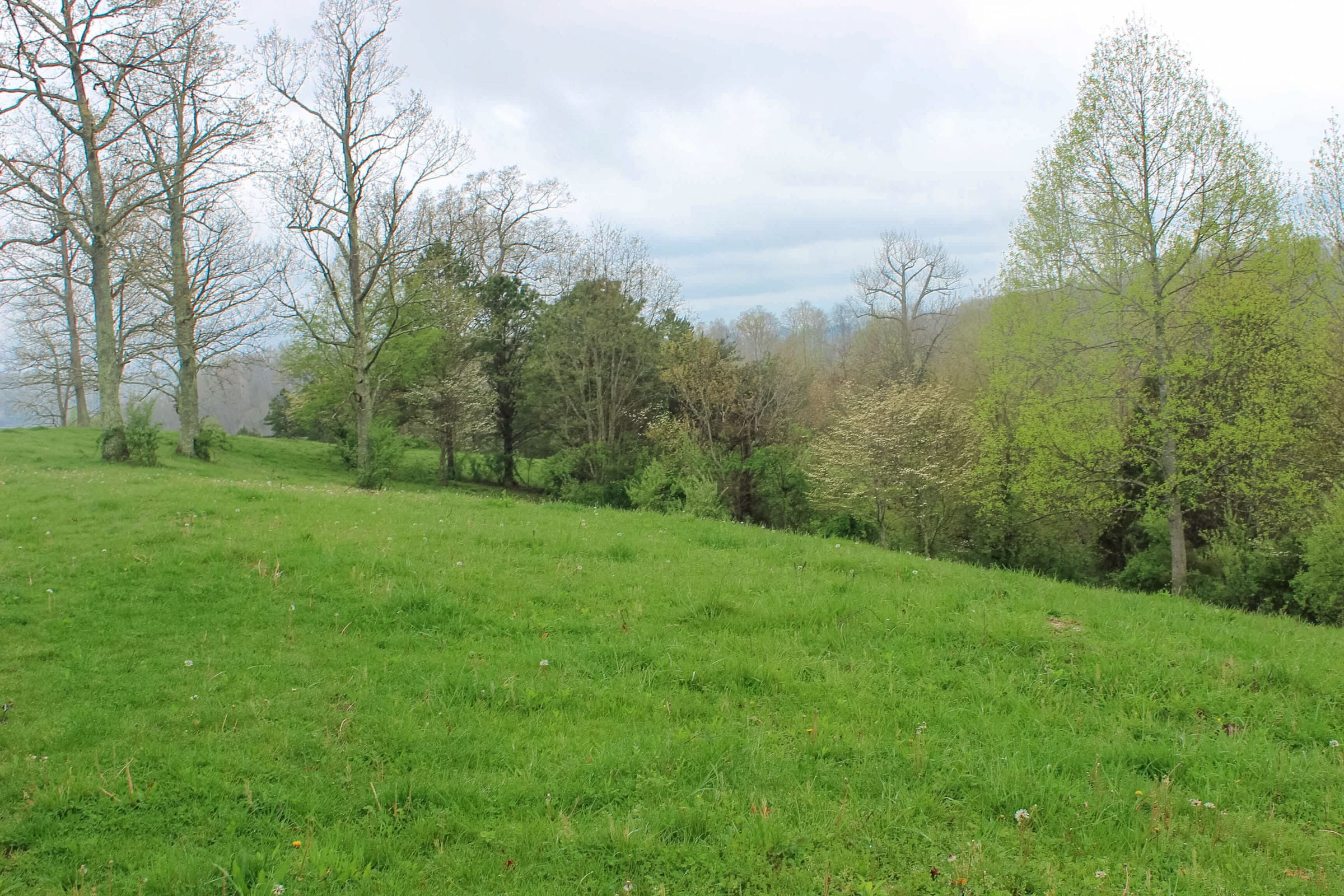 Serenity Creek Tract 12 photo 8