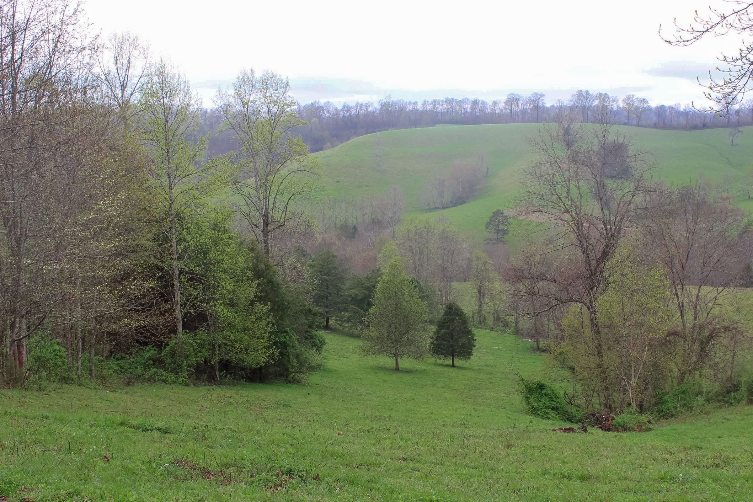 Serenity Creek Tract 12 photo 9