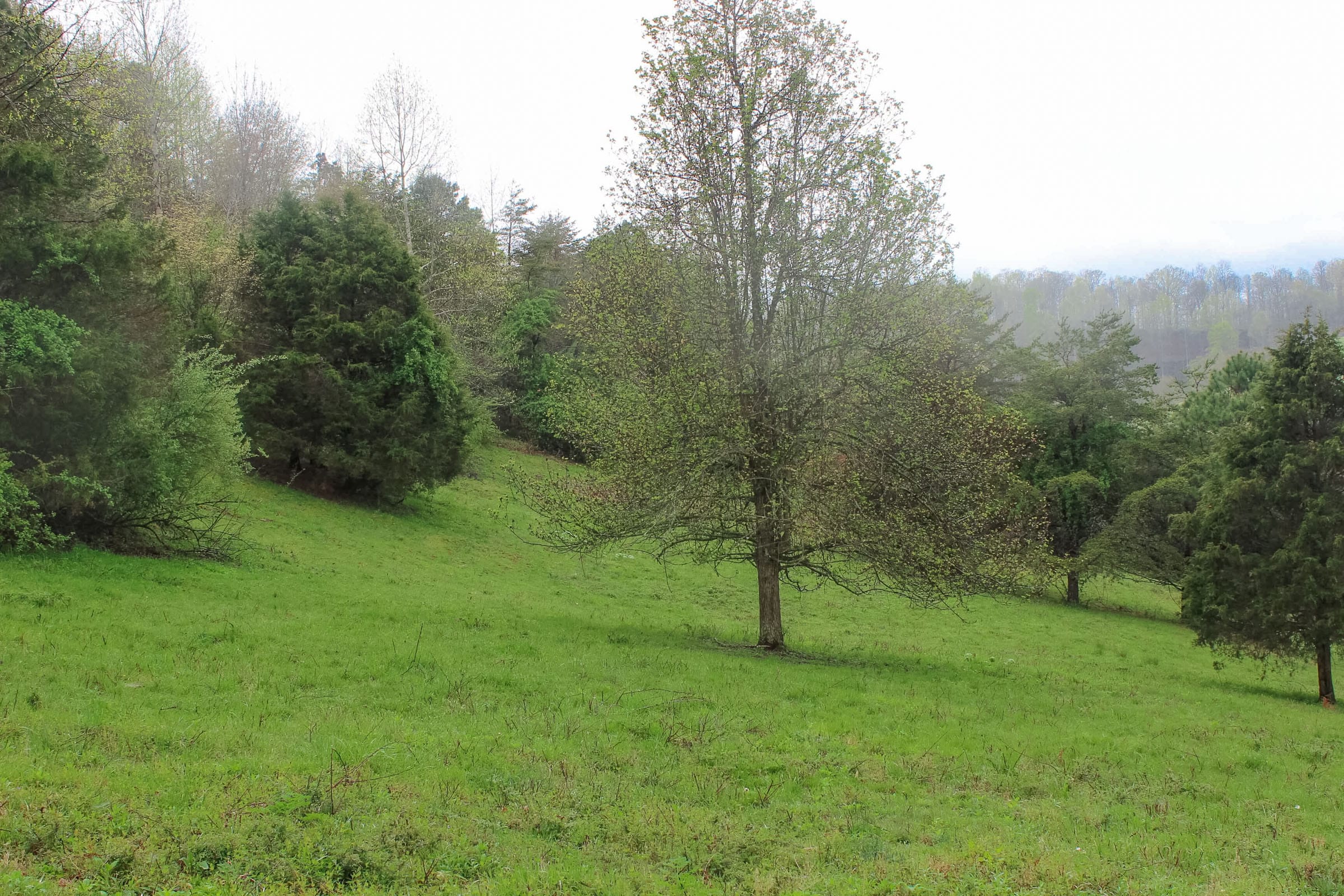 Serenity Creek Tract 12 photo 10
