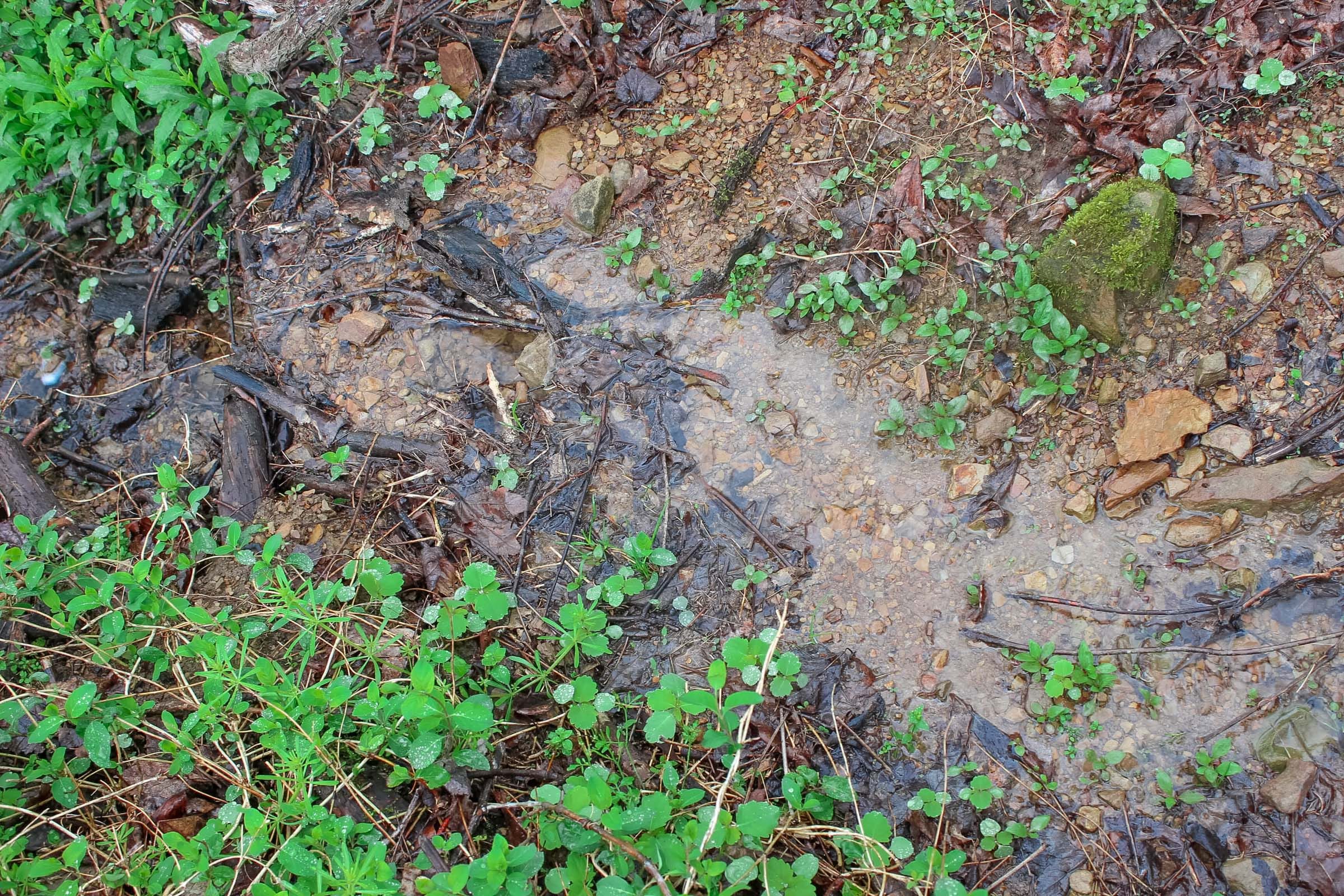 Serenity Creek Tract 12 photo 12