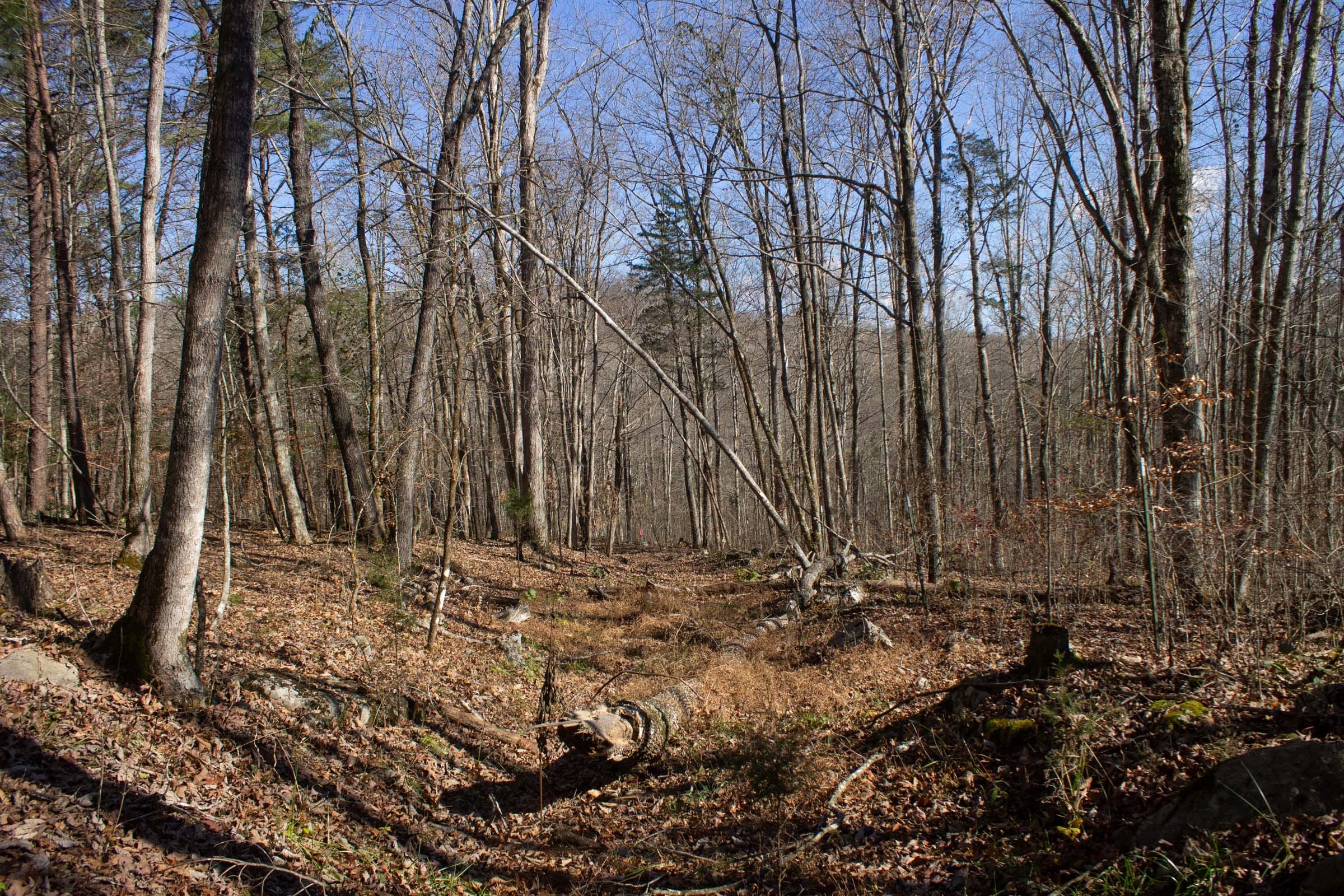 The Cliffs Tract 6 photo 2